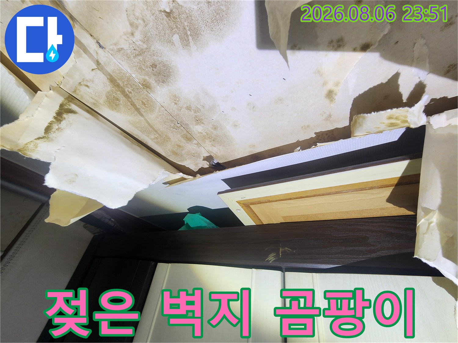 천장 벽지가 젖어 변색되고 곰팡이가 발생한 현장 사진입니다.
