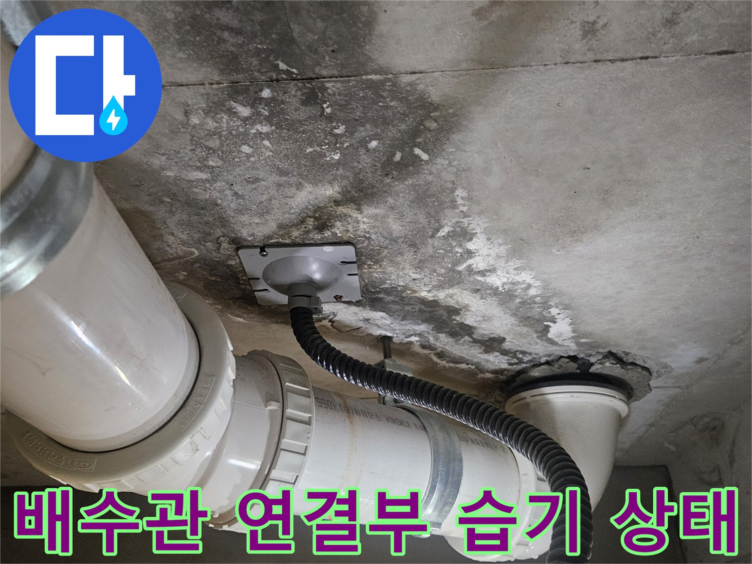 덕양구 화장실 천장-배관 주변의 습기와 오염된 벽면