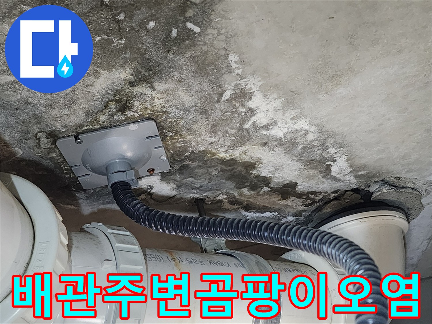 배관-연결부-주위의-거뭇한-곰팡이-흔적