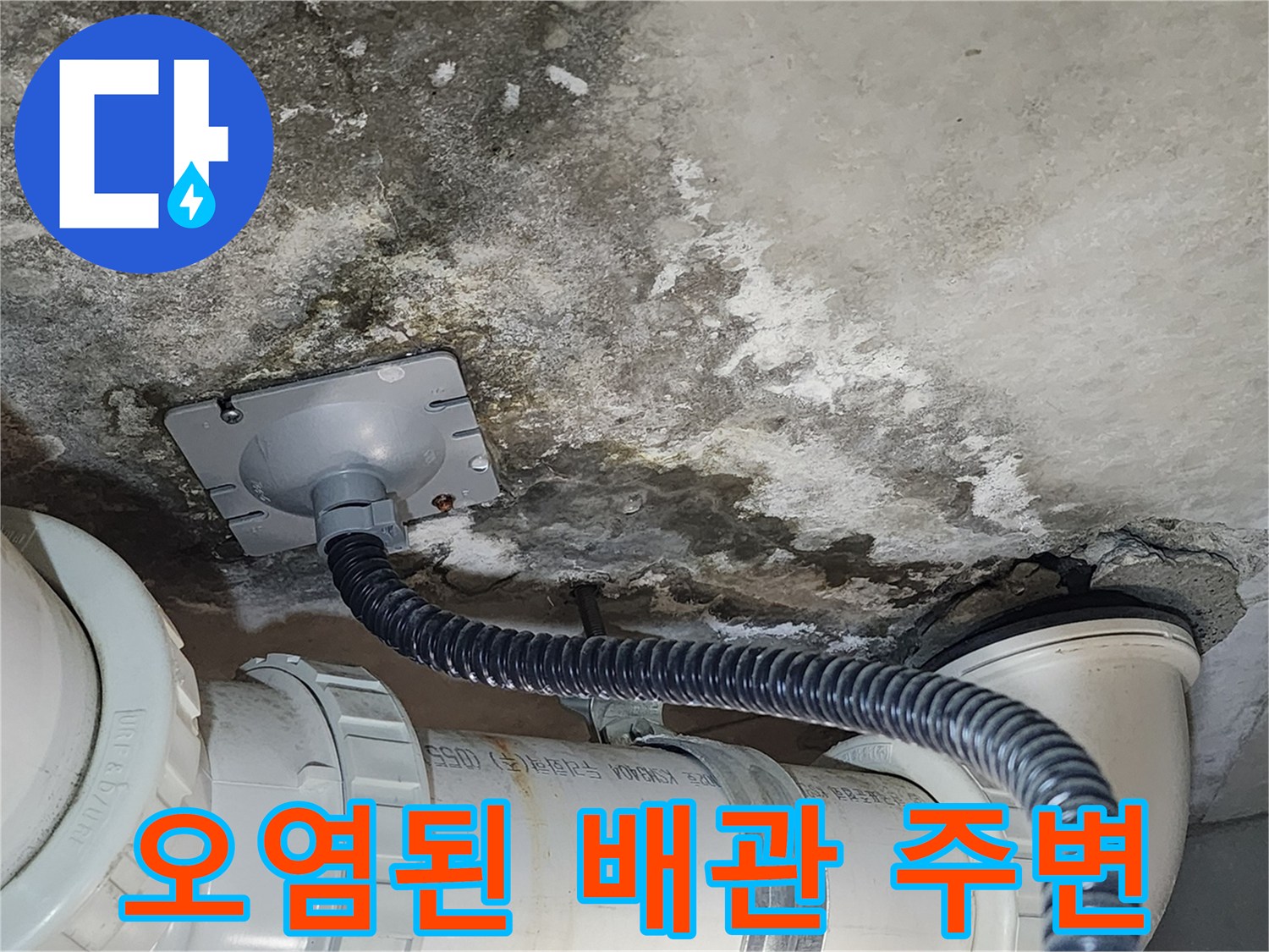 배관-주변의-물자국과-곰팡이-흔적