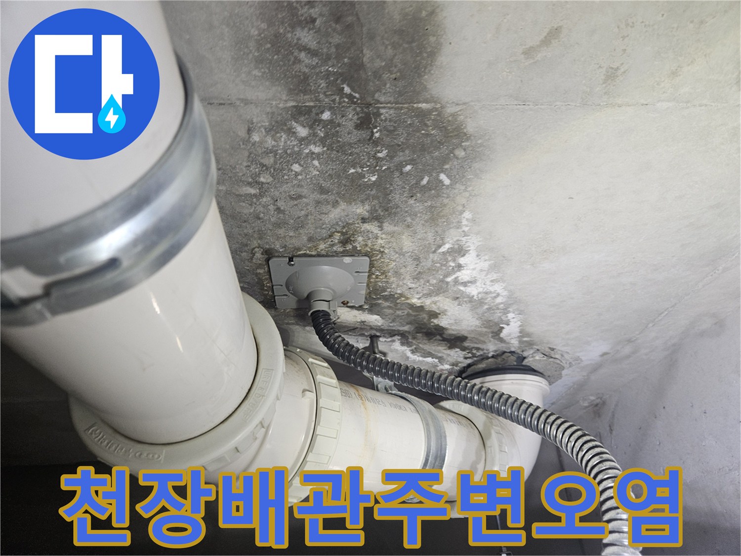 배수-배관-주변의-젖은-슬라브와-곰팡이-상태