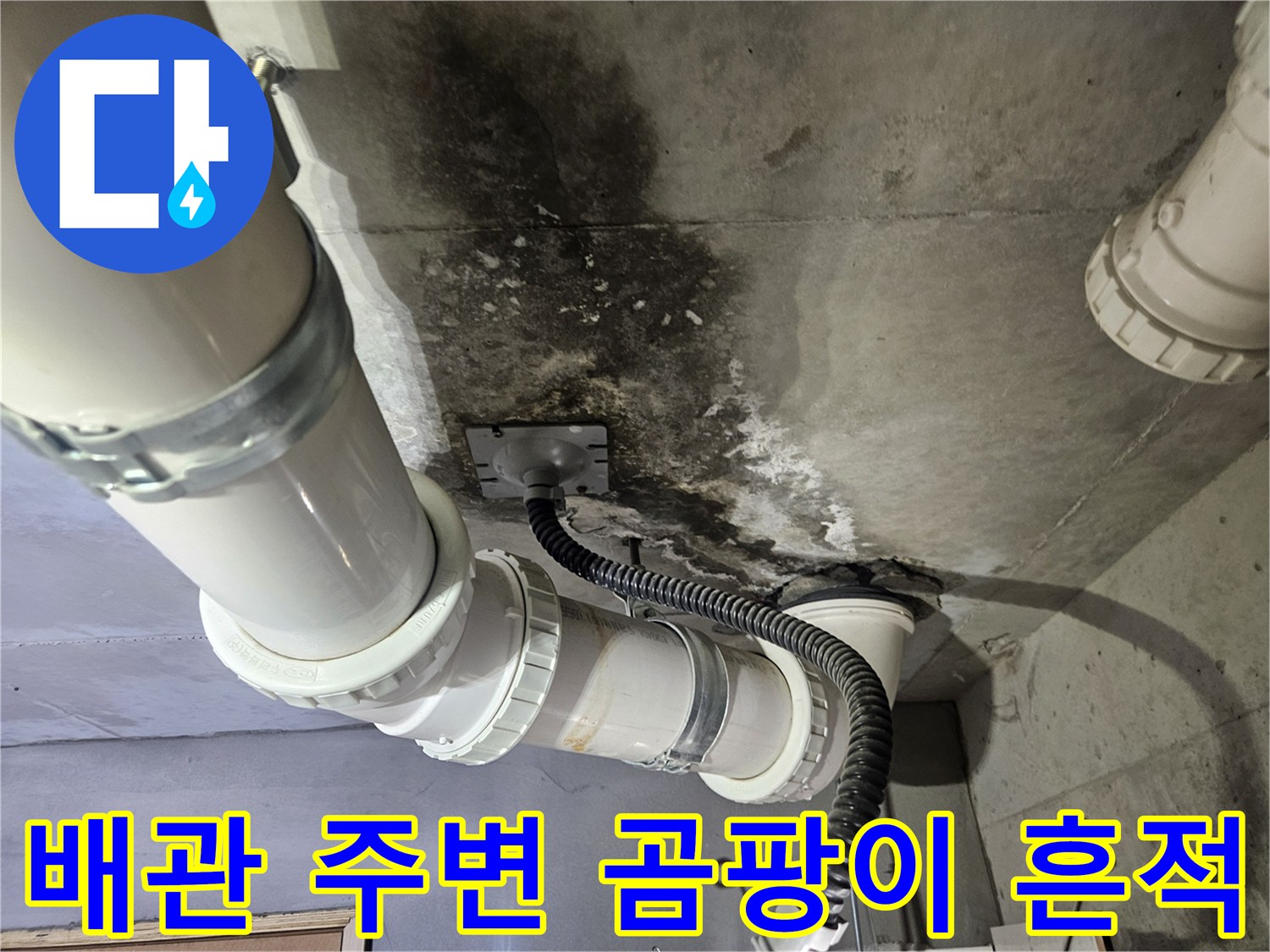천장-배관-주변의-심한-곰팡이와-습기-흔적