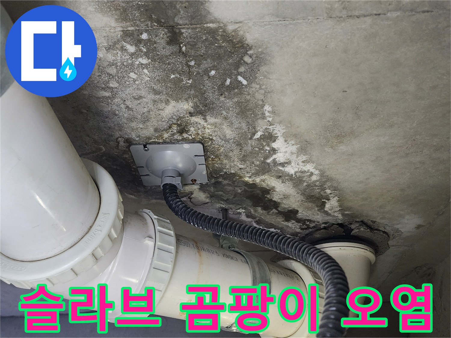 천장-콘크리트-면의-심한-곰팡이와-물때-상태