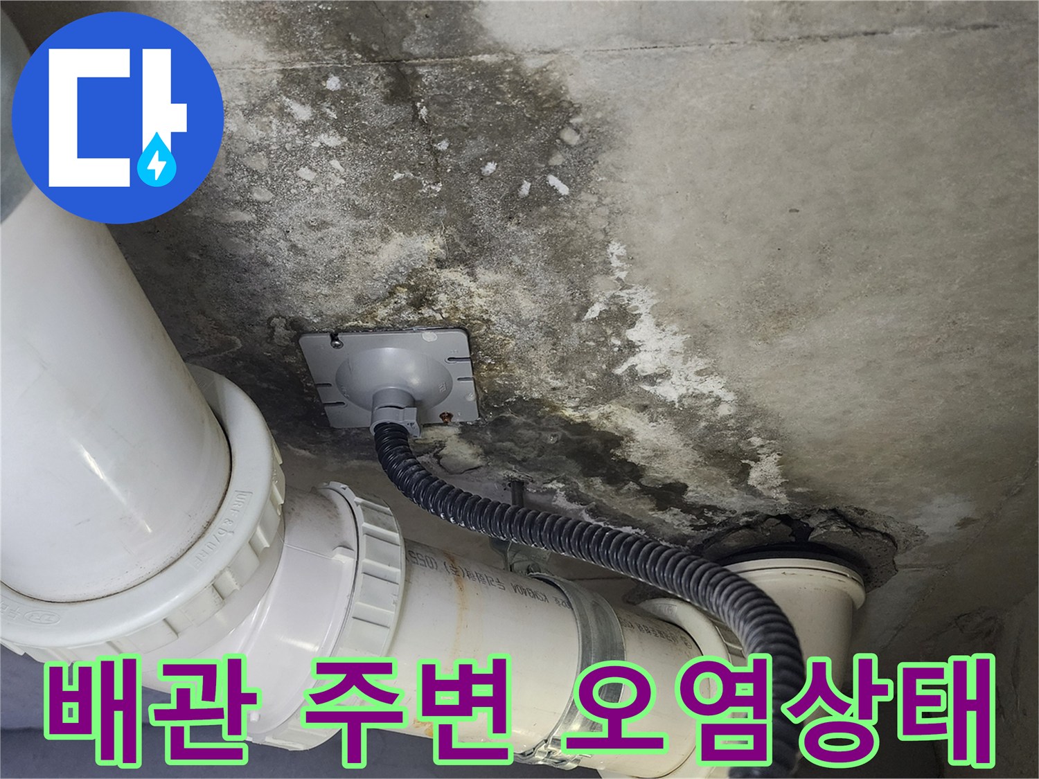 하수도-배관-연결부-주변의-젖은-콘크리트-벽면