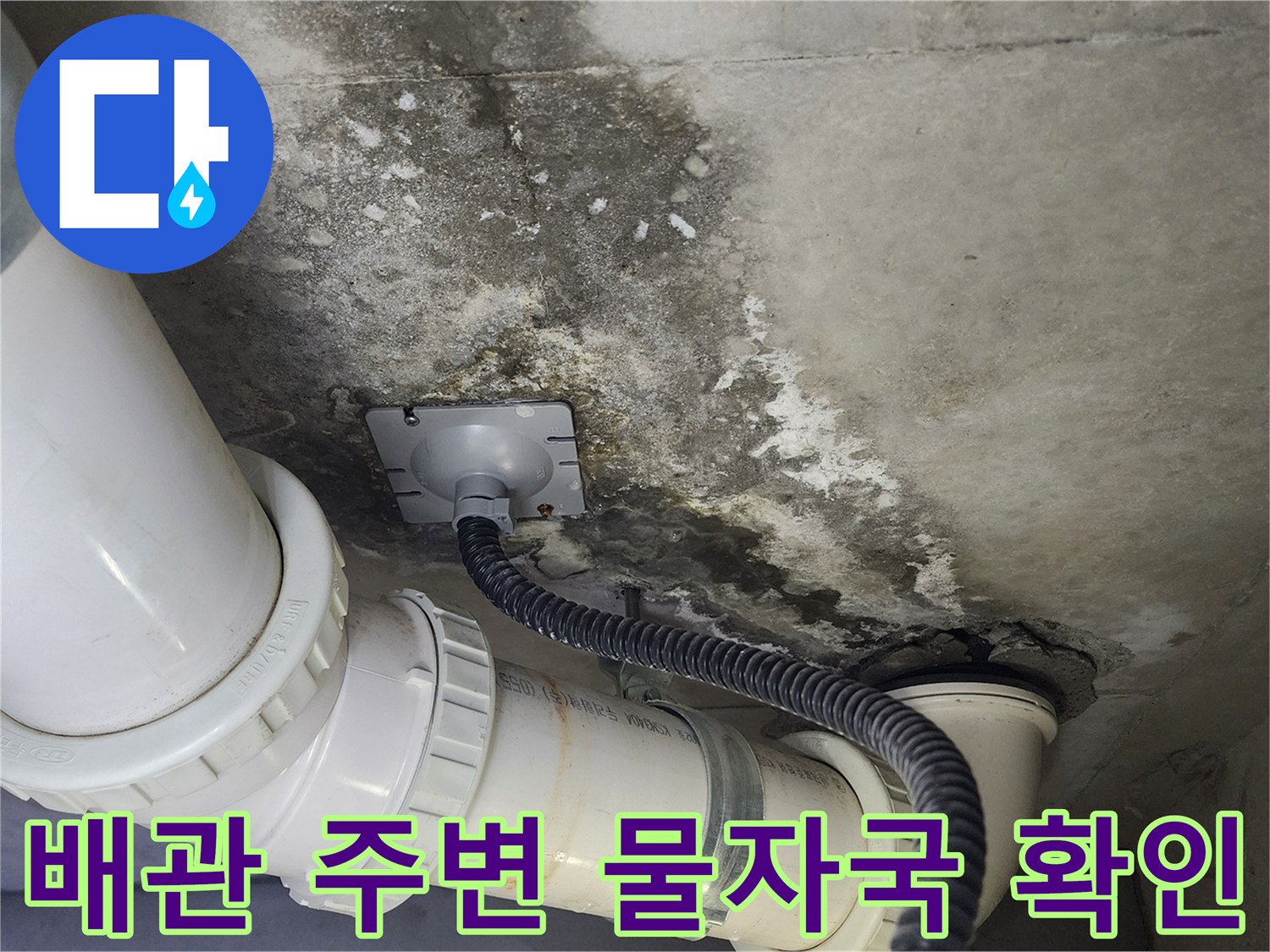 화장실-배수-배관-연결부-주변의-심한-습기와-얼룩