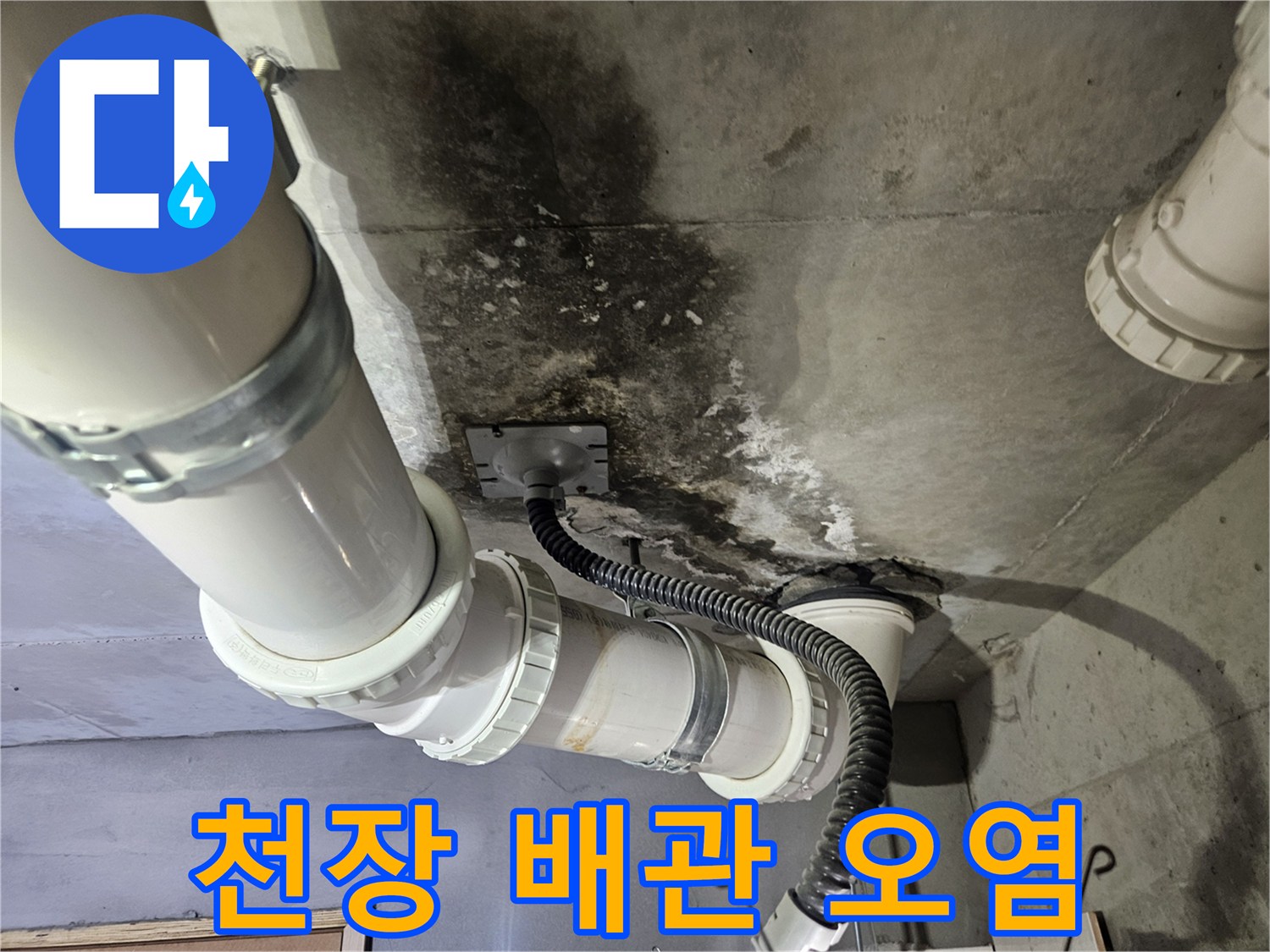 화장실-천장-내부-배관-주변의-심한-오염과-물자국