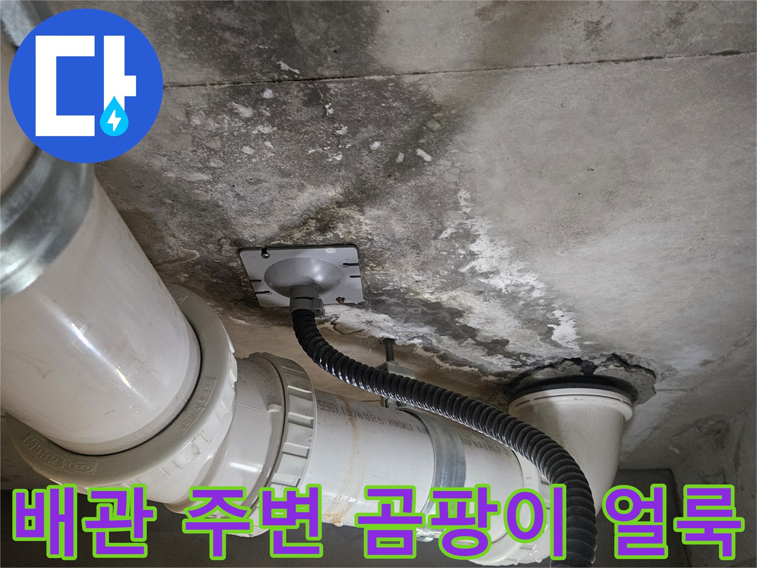 화장실 천장 배관 연결 부위의 곰팡이 및 오염 상태