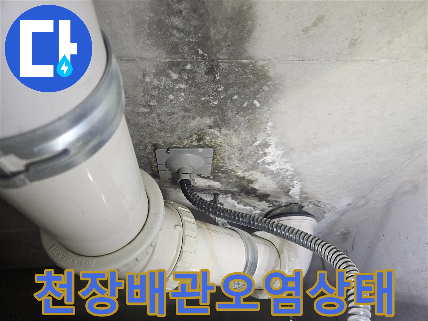화장실 천장 배관 주변의 곰팡이와 물자국 흔적