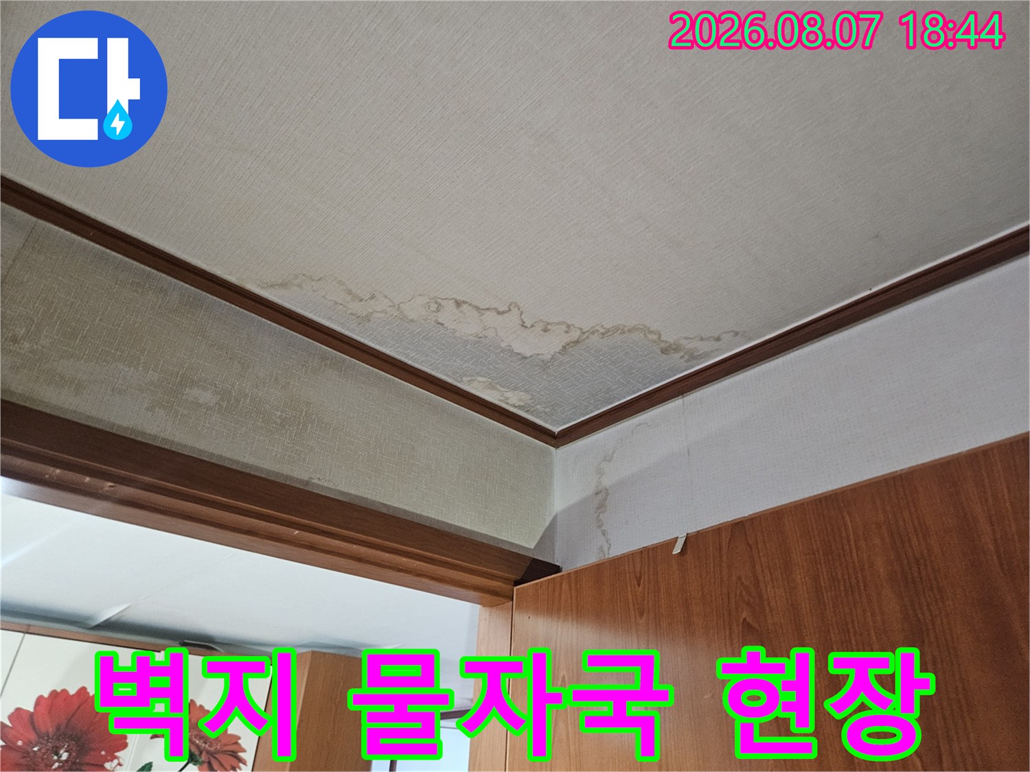 파주 문산읍 아파트 벽면 하단에 발생한 누수 물자국과 벽지 변색 상태