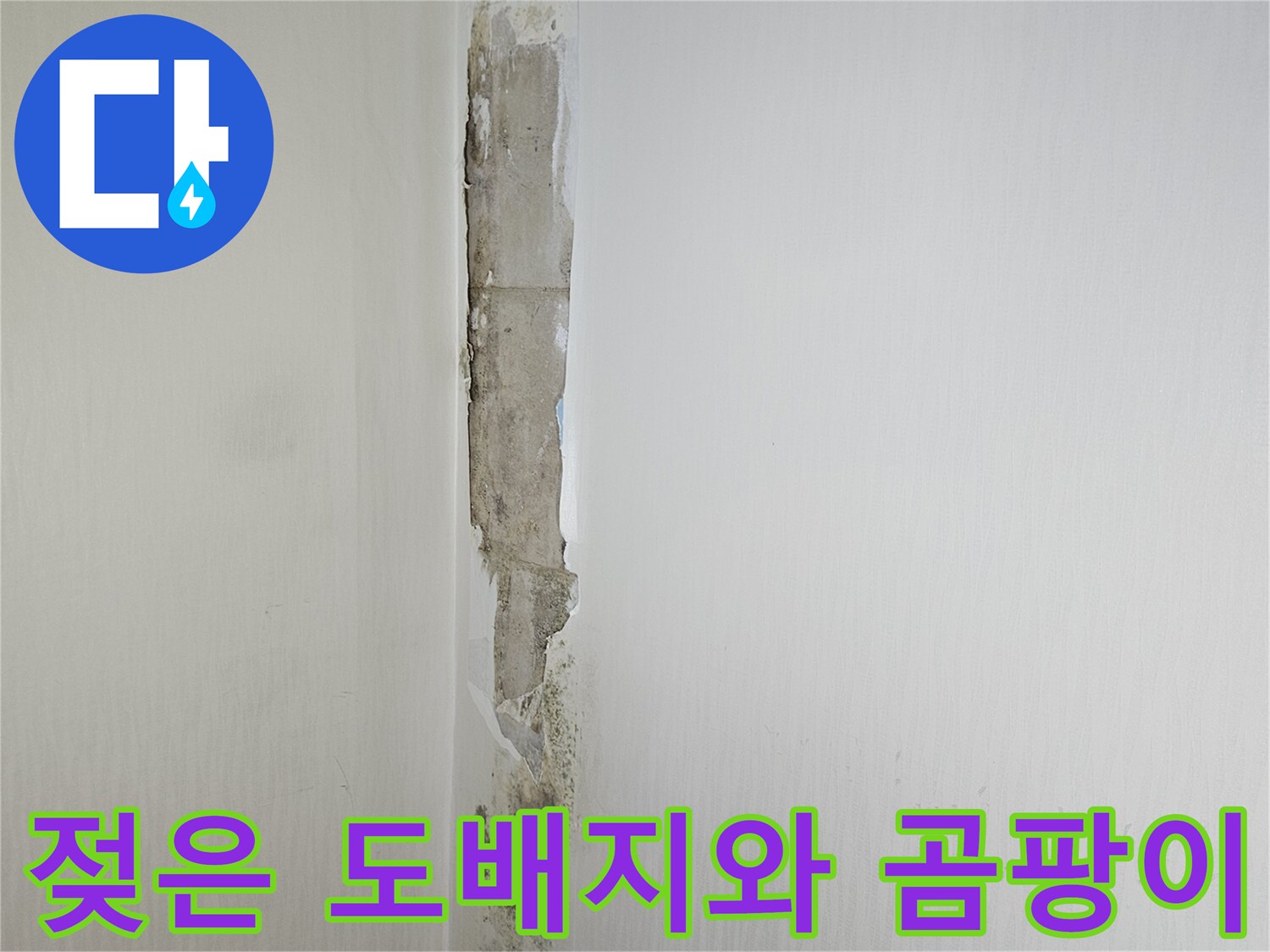 누수로-인한-천장-벽면-도배지-오염-상태