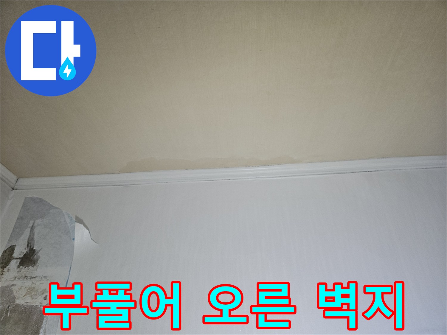 물기를 머금어 하얗게 들뜨고 곰팡이가 발생한 벽면
