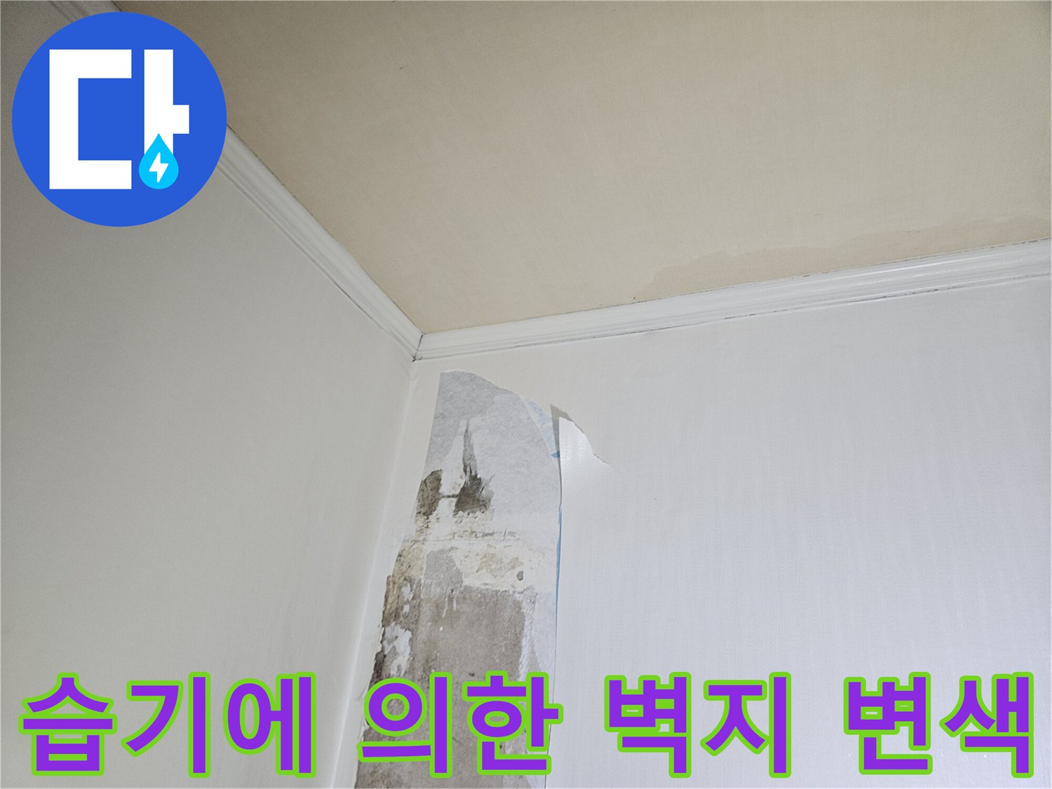벽면 하단부-물샘으로 인해 도배지가 젖어 색이 변한 부위