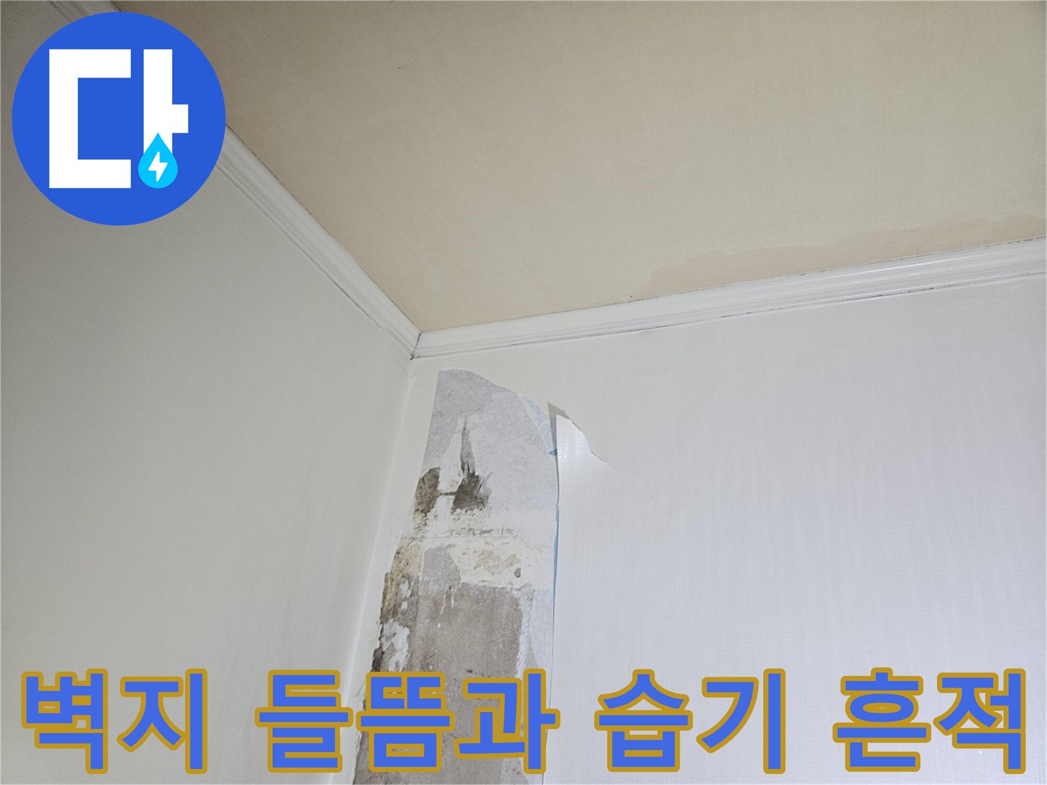 일산 백석동 아파트 벽면의 도배지가 들뜨고 습기로 인해 변색된 모습