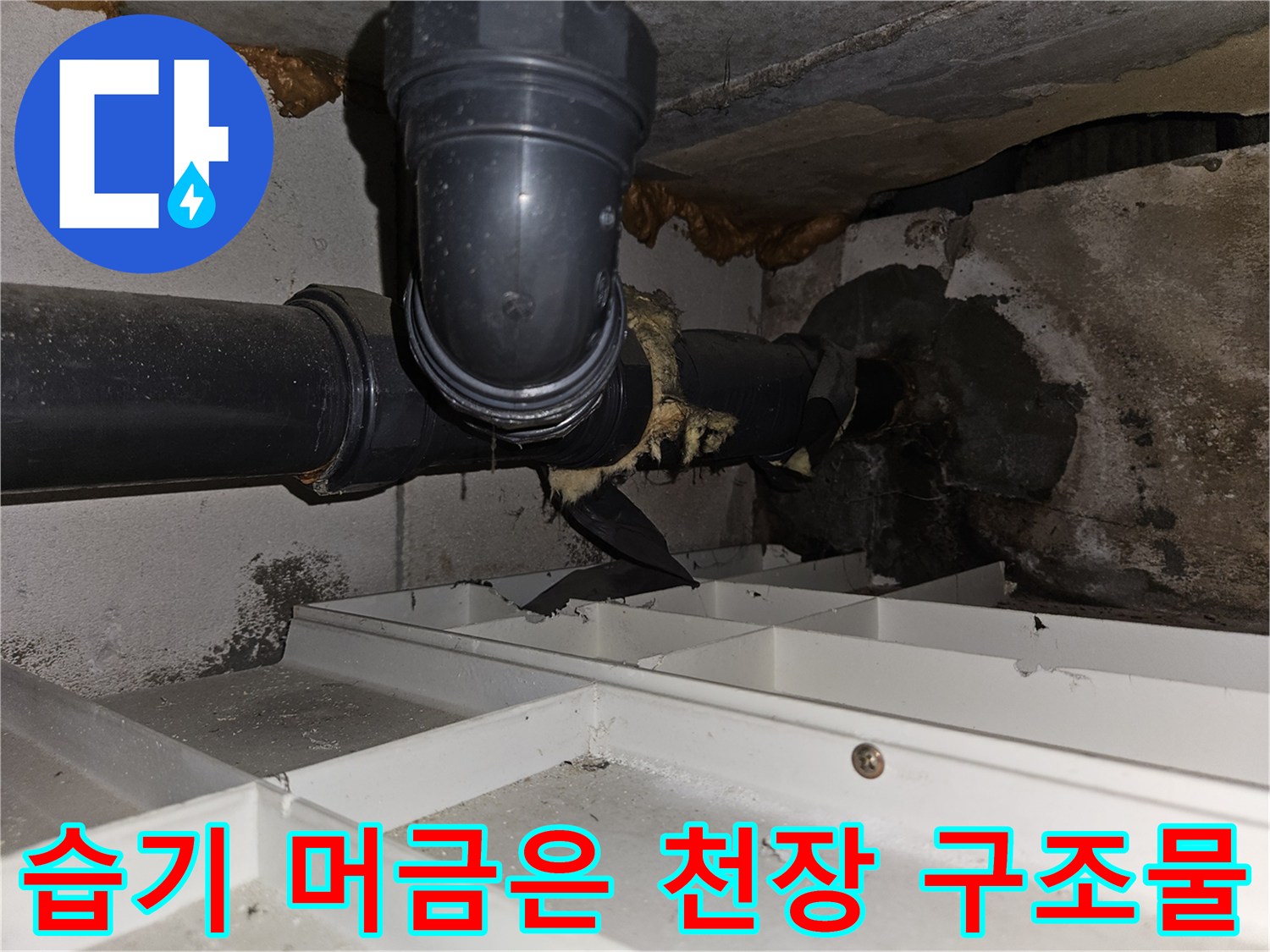 천장-내부-배관-주변의-습기와-오염된-흔적