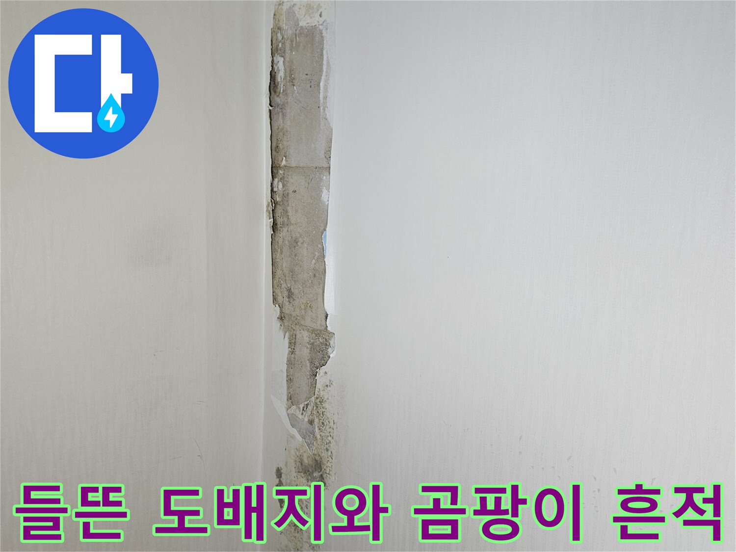 천장-도배지가-젖어서-벌어진-누수-현장