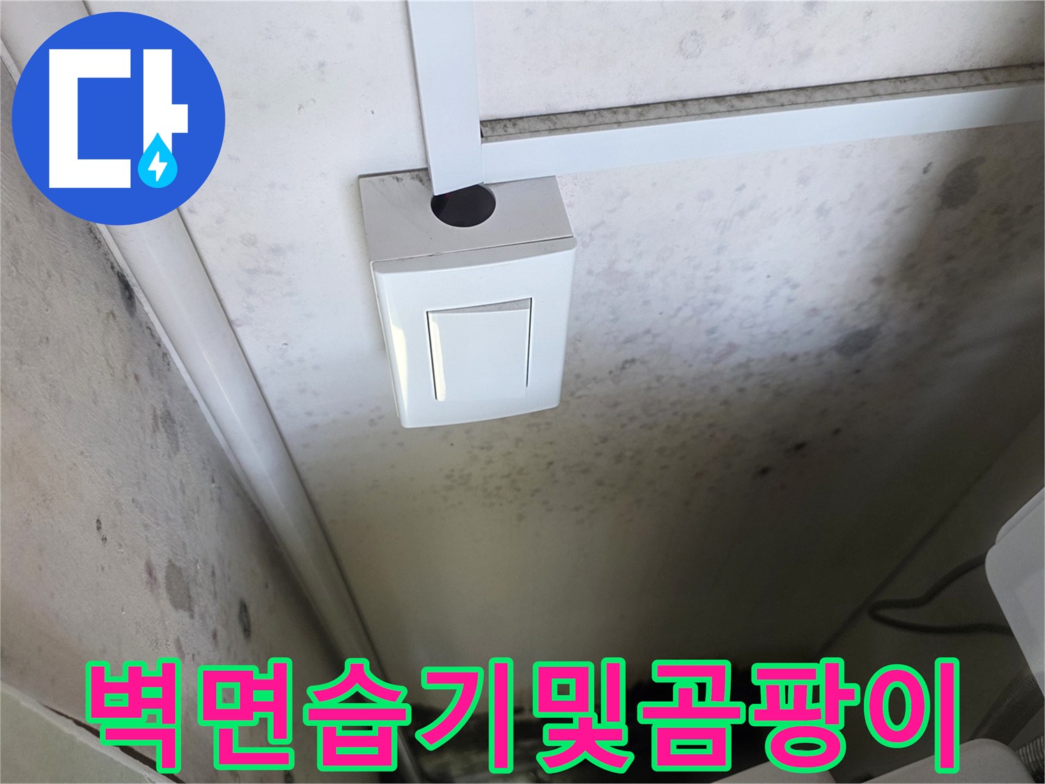 배관-주변-벽면에-심하게-퍼진-곰팡이와-습기