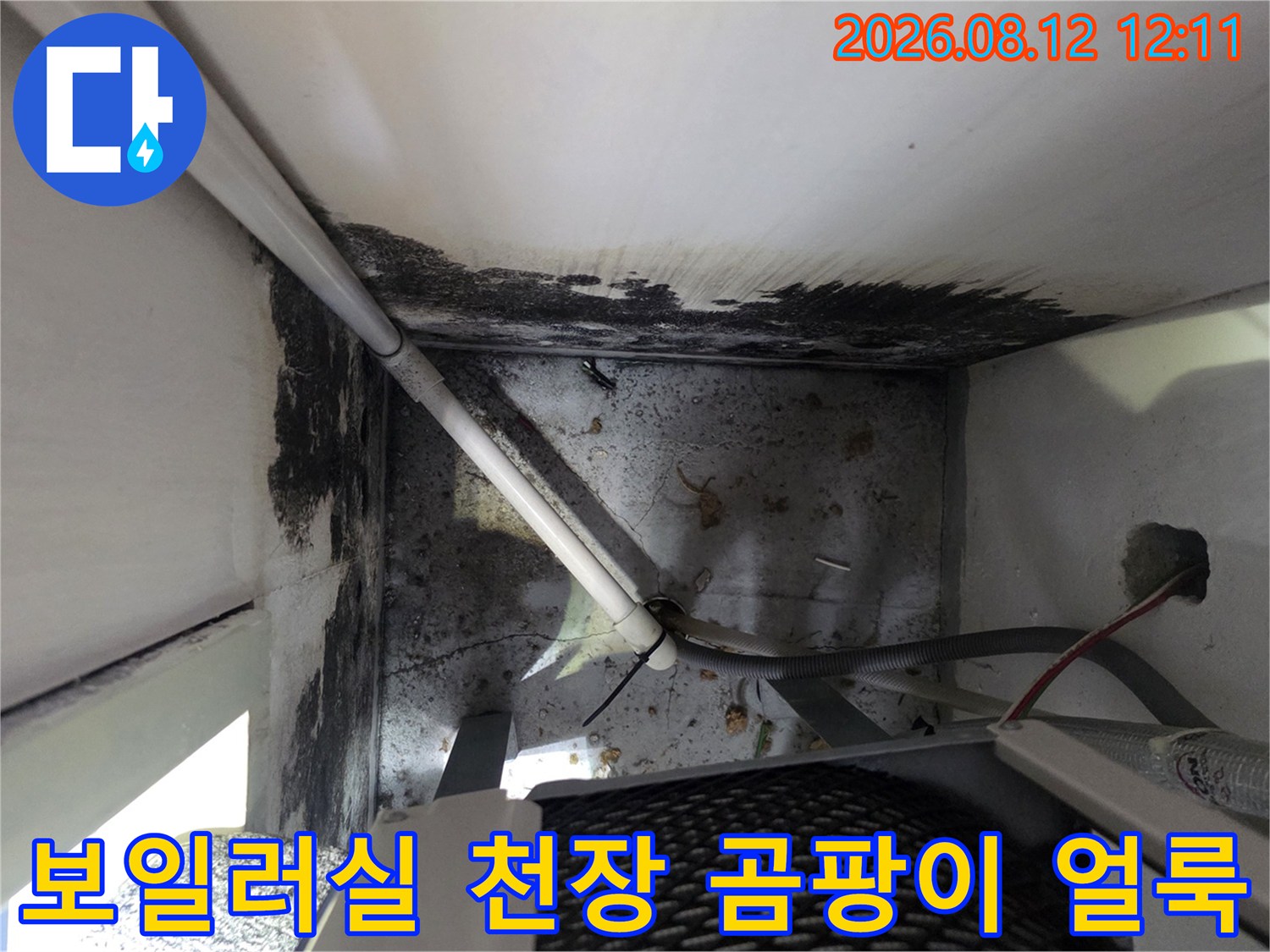 인천 운서동 보일러실 벽면의 곰팡이와 배관 연결 부위 확인