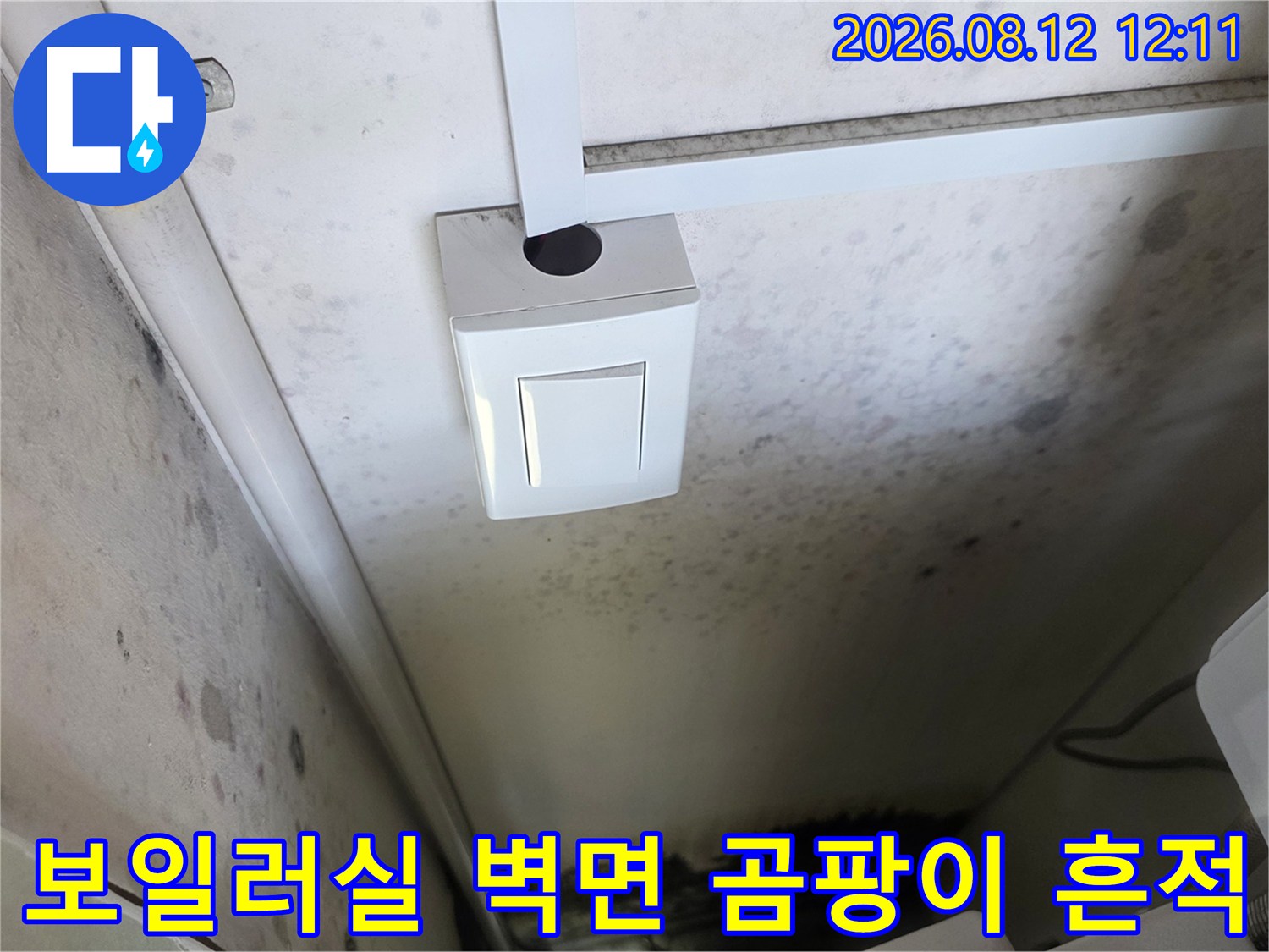 인천 중구 운서동 보일러실-벽면에 발생한 곰팡이와 얼룩 상태