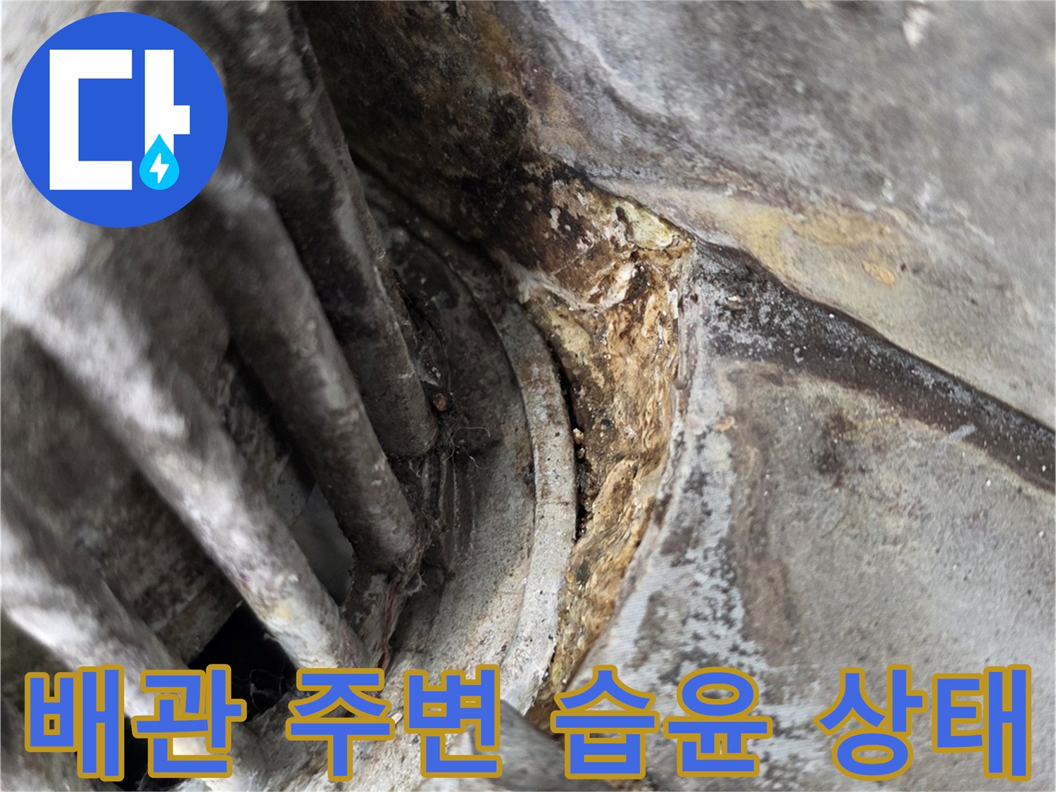 노후된-배관-주변의-습기와-오염-상태