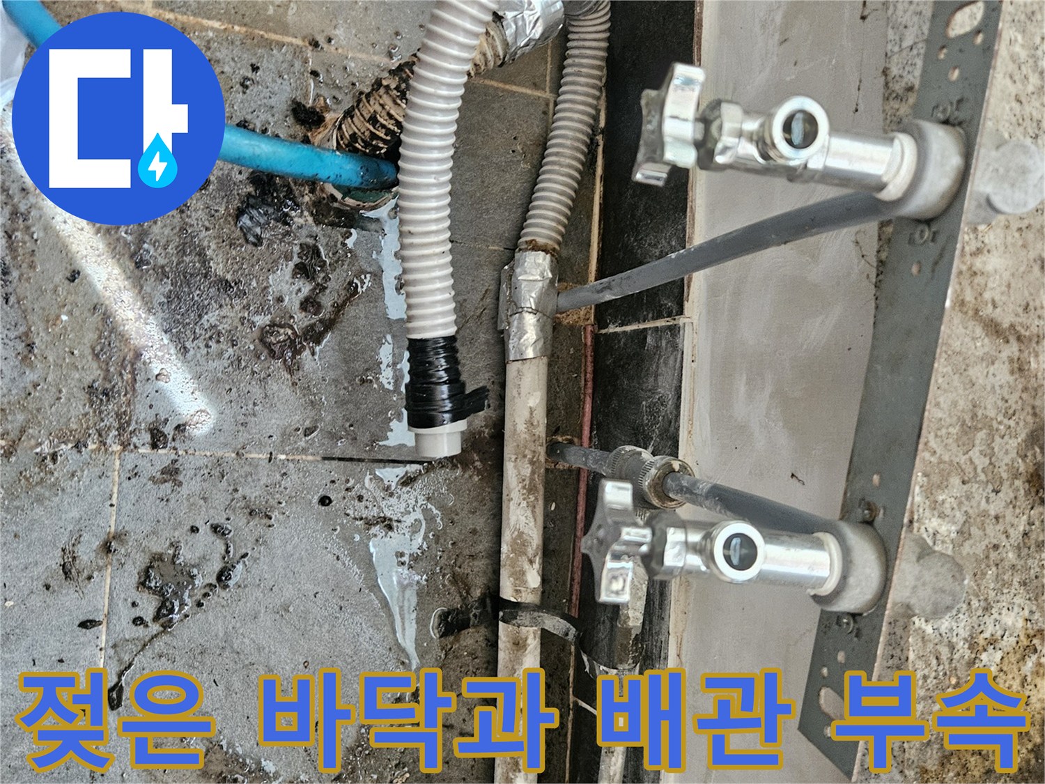 배수관 연결부 주변의 젖은 타일과 검은 오염물 상태