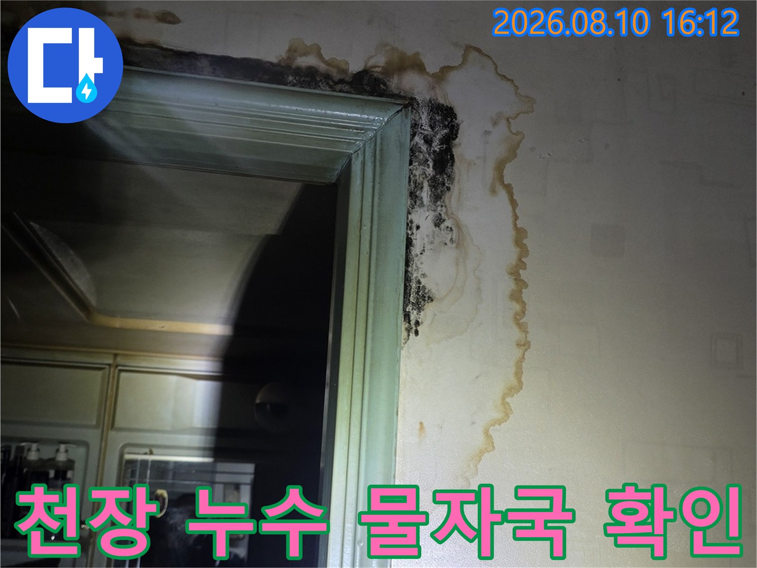 구리 인창동 아파트-천장 벽지의 물 얼룩과 곰팡이