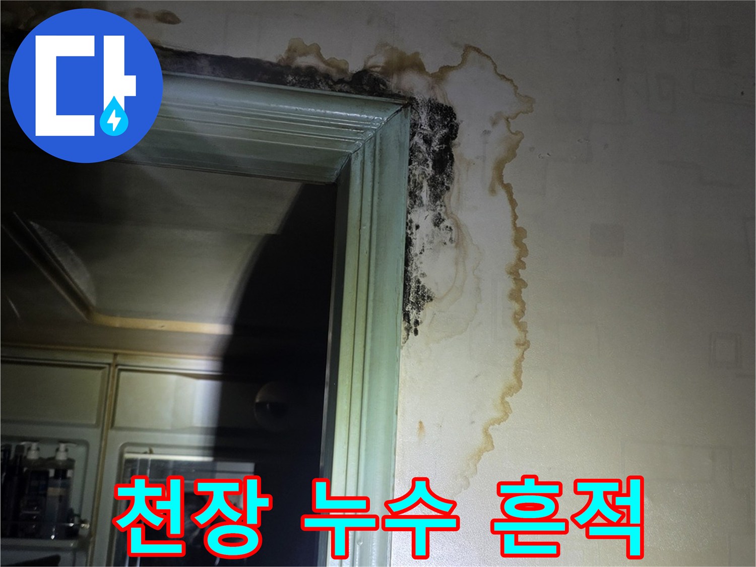 구리 인창동 현장-천장 벽면의 젖은 얼룩과 곰<0xAE>팡이 상태