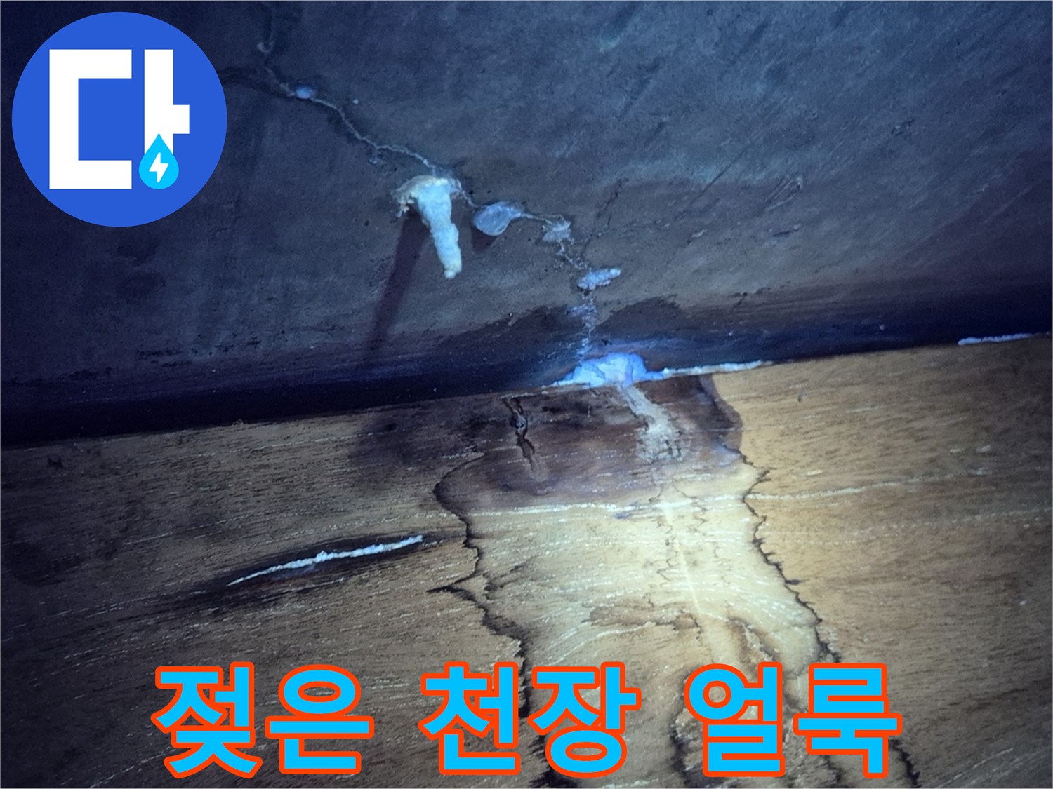 물샘 현상으로 인해 변색되고 젖어있는 아랫집 천장 부위