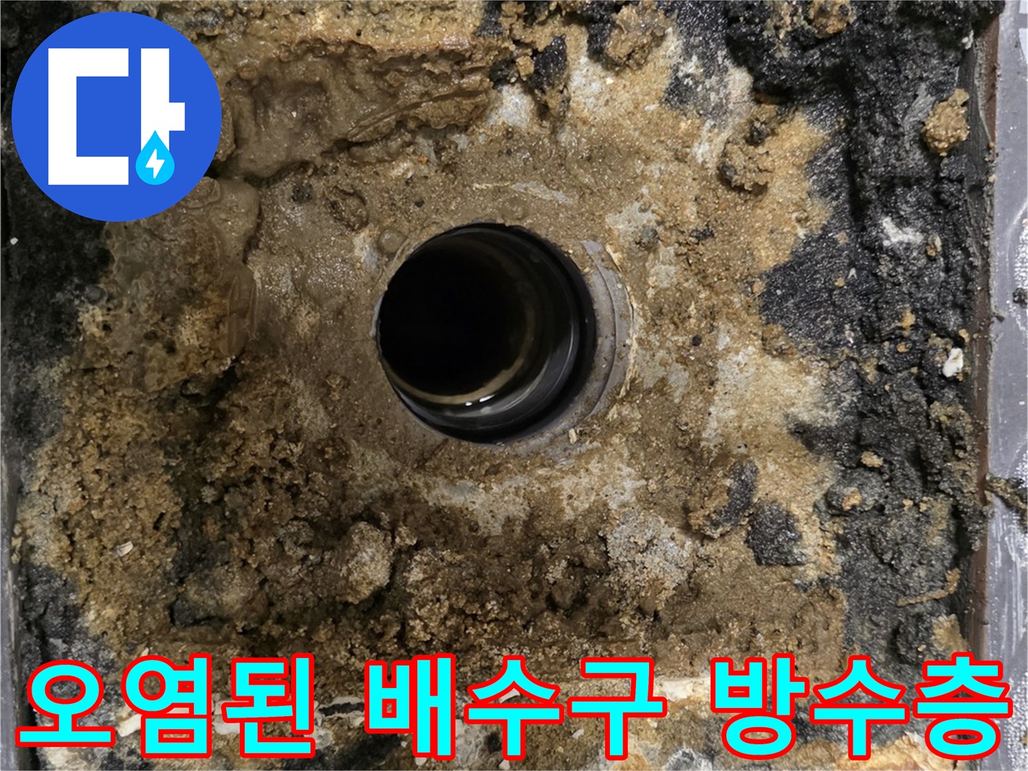 물침투로-오염되고-파손된-욕실-배수구-주변