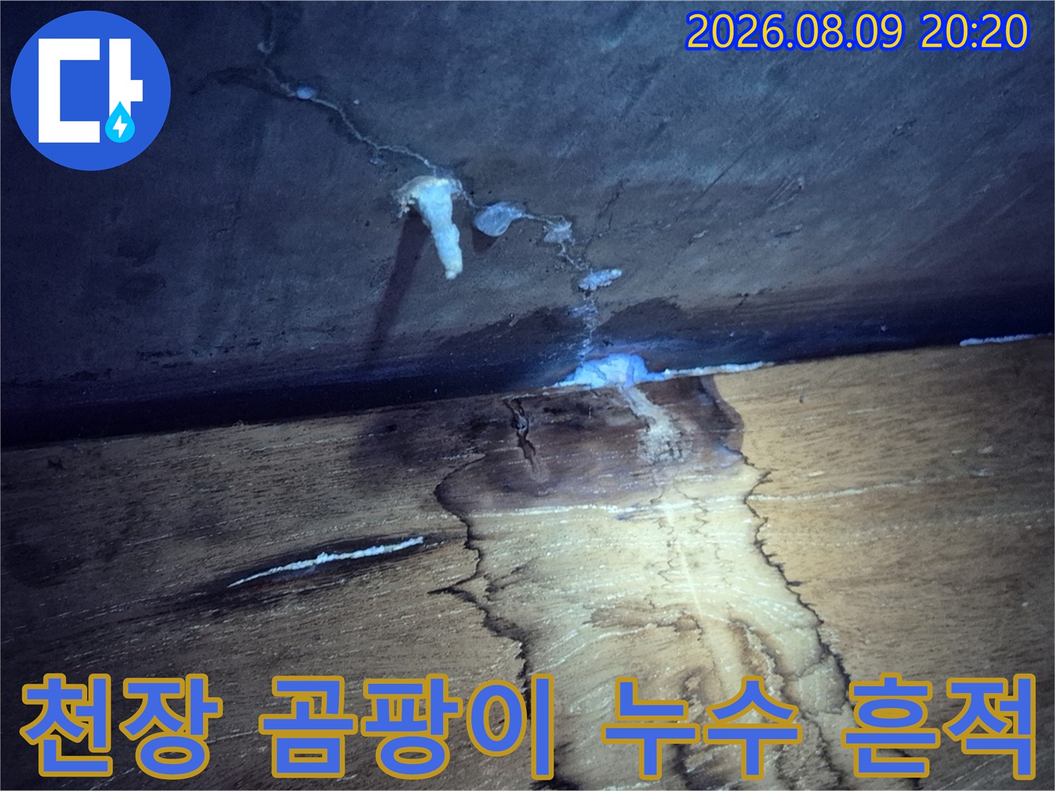 습기 침투-물기가 머문 천장 면의 곰팡이와 얼룩진 모습