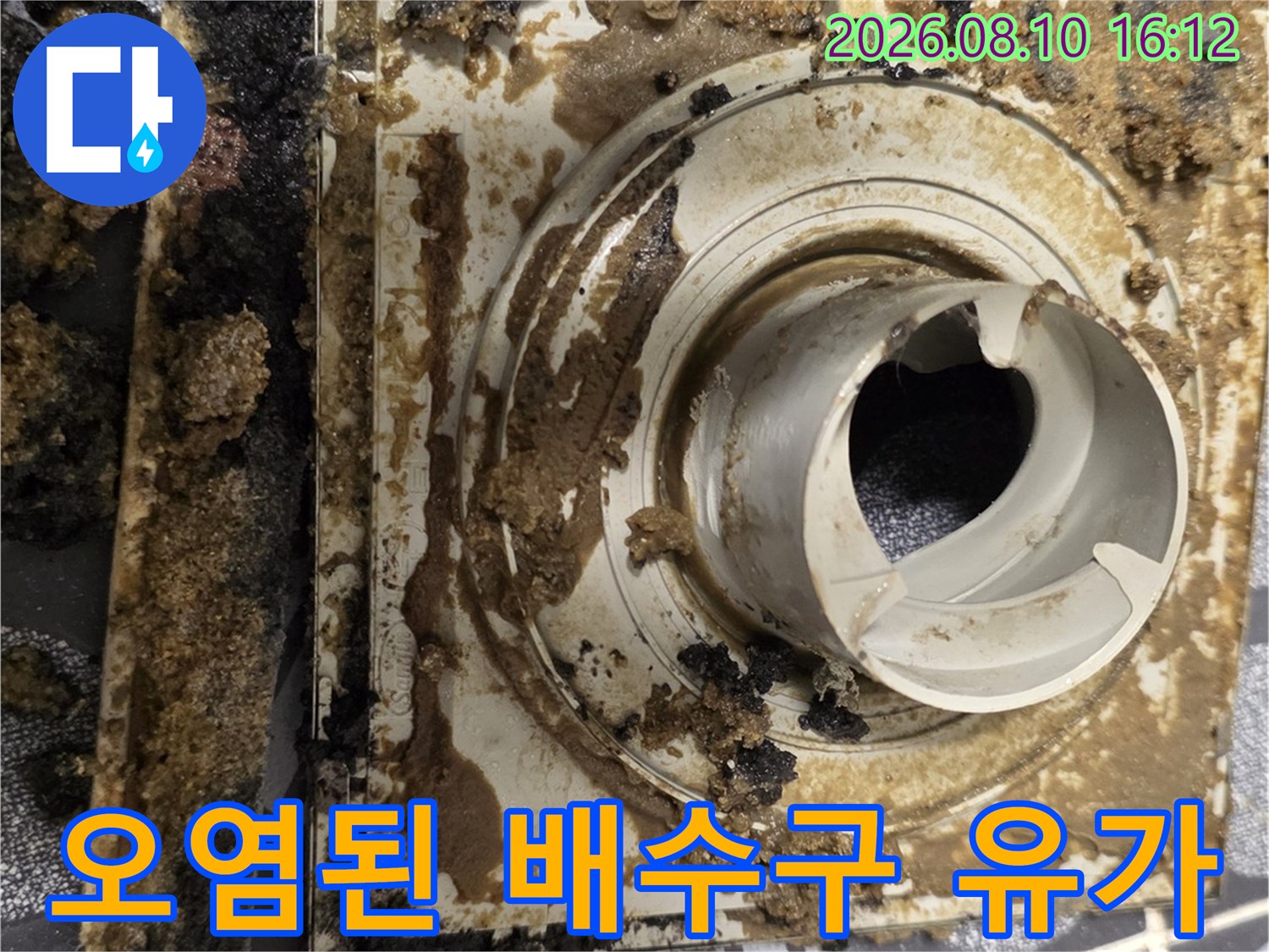이물질과 곰팡이로 오염된 화장실 배수구 유가 상태
