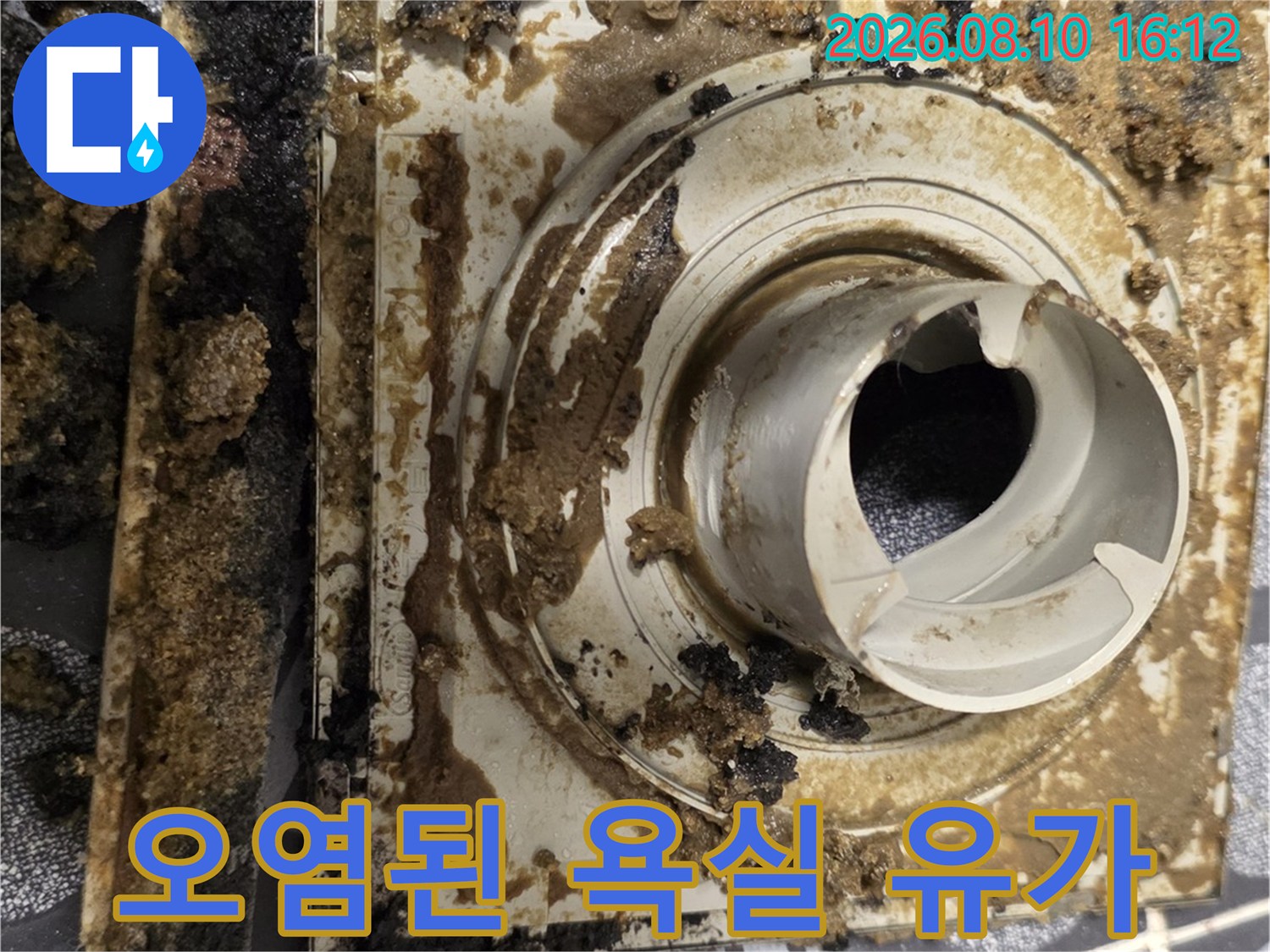흙과 곰팡이로 오염된 노후된 배수구 유가