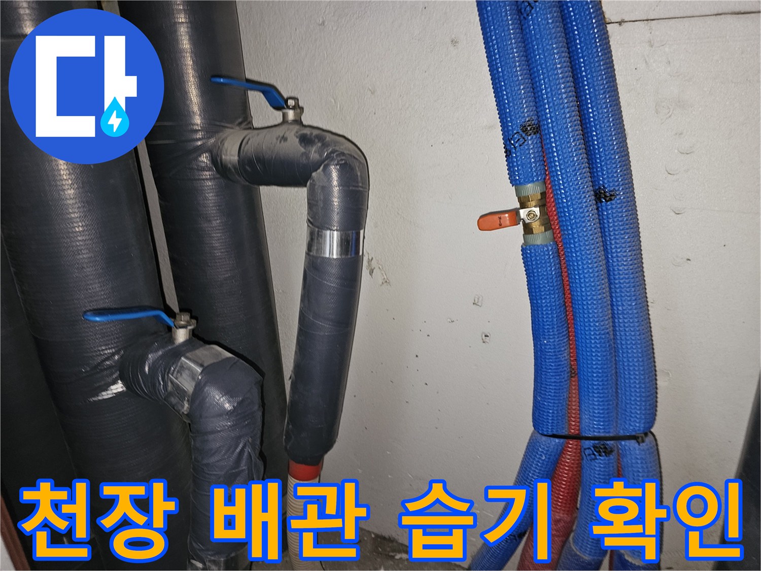 분당 현장-천장 배관 주변의 습기와 물고임 상태를 확인하는 모습
