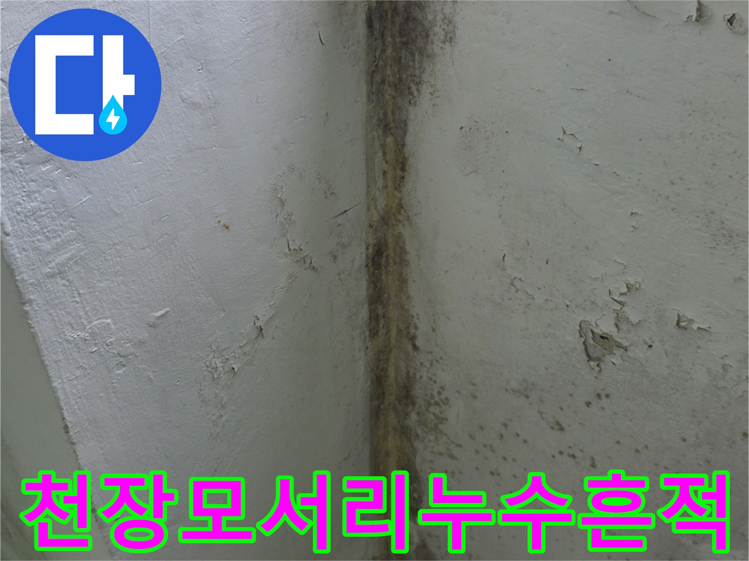 베란다-구석-천장에서-벽으로-이어지는-검은색-물샘-곰팡이-자국
