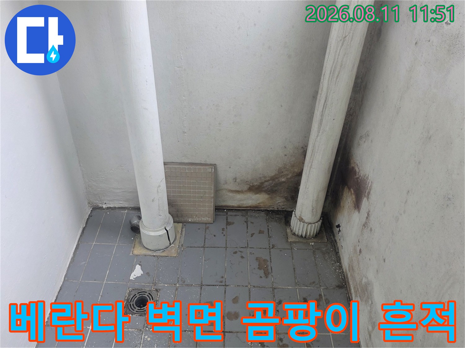 분당 정자동 아파트 베란다 벽면에 발생한 곰팡이와 습기 얼룩 상태입니다.
