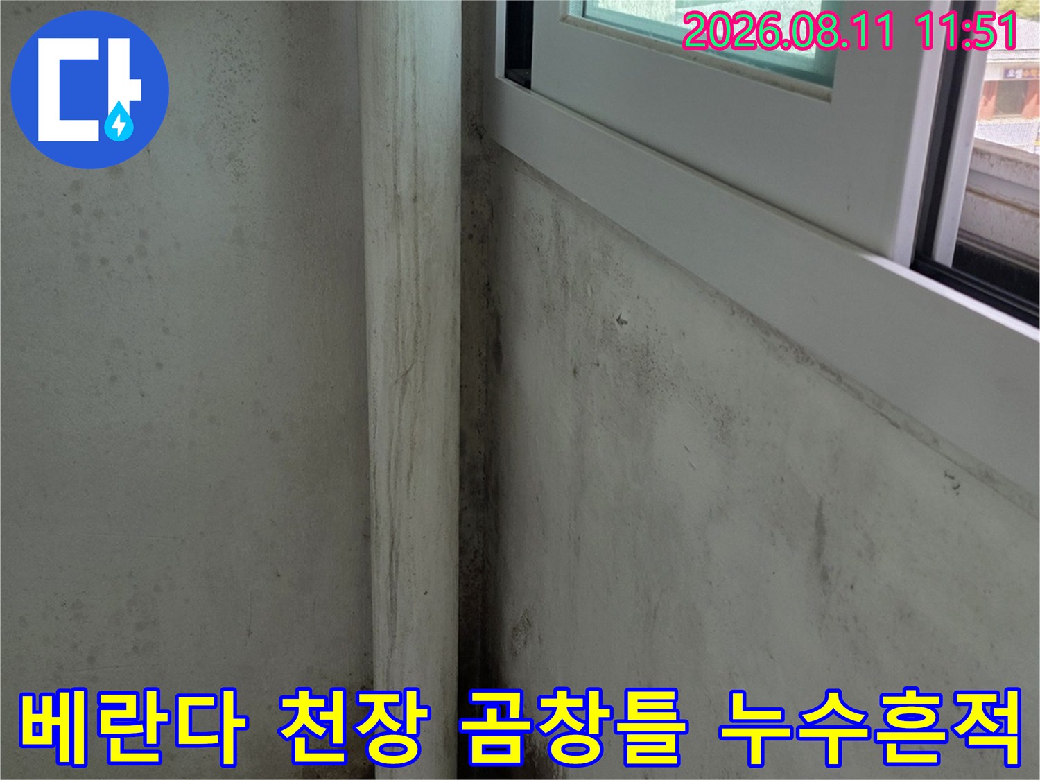 분당 정자동 아파트 베란다 천장과 벽면에 발생한 곰팡이와 누수 흔적 사진