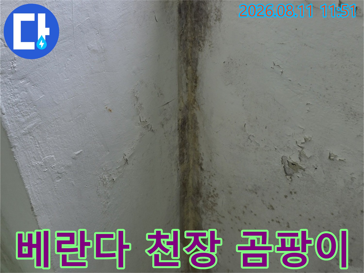 분당 정자동 아파트 베란다 천장과 벽면에 발생한 곰팡이와 도장 박리 현상