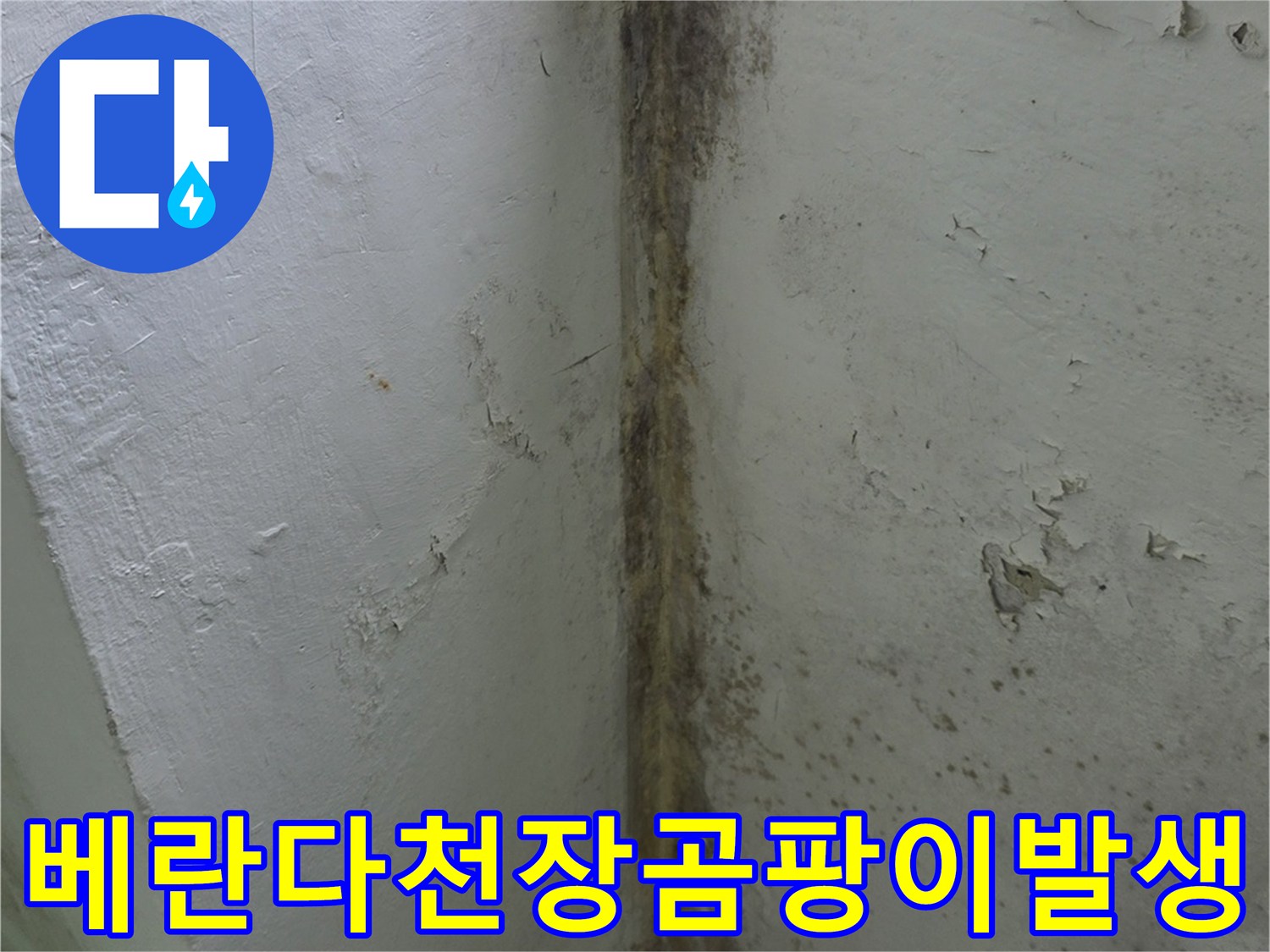 습기로-인해-부식된-베란다-천장면과-벽면의-심한-곰팡이-번짐
