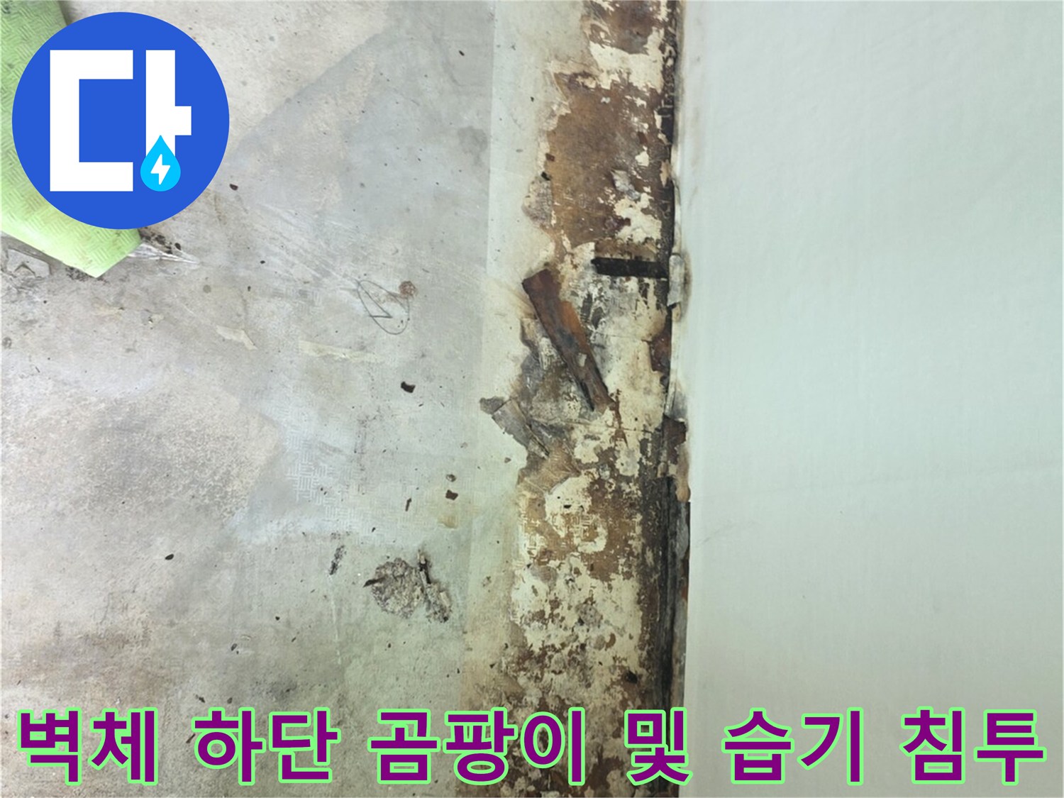 하얀-벽면-아래쪽으로-습기가-차올라-검고-갈색으로-오염된-모습