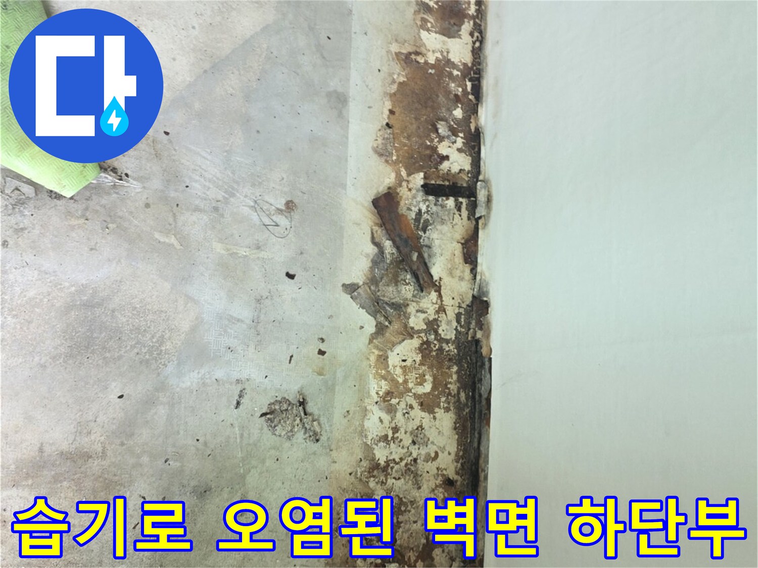 흰색-벽지-아래쪽으로-물에-젖어-갈색으로-변하고-곰팡이가-핀-벽면-사진
