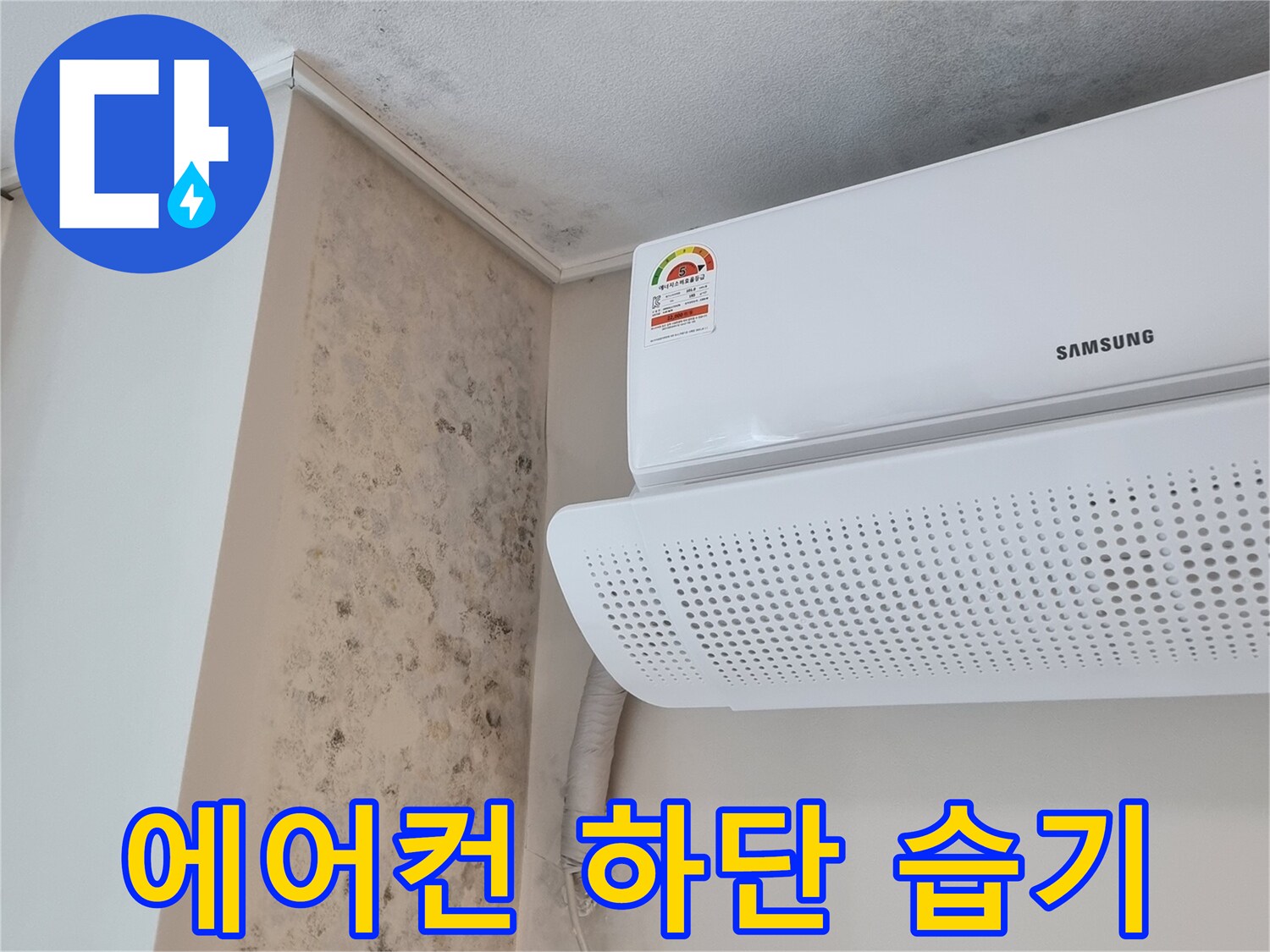 에어컨 배관 주변의 젖은 벽면과 곰팡이 증상
