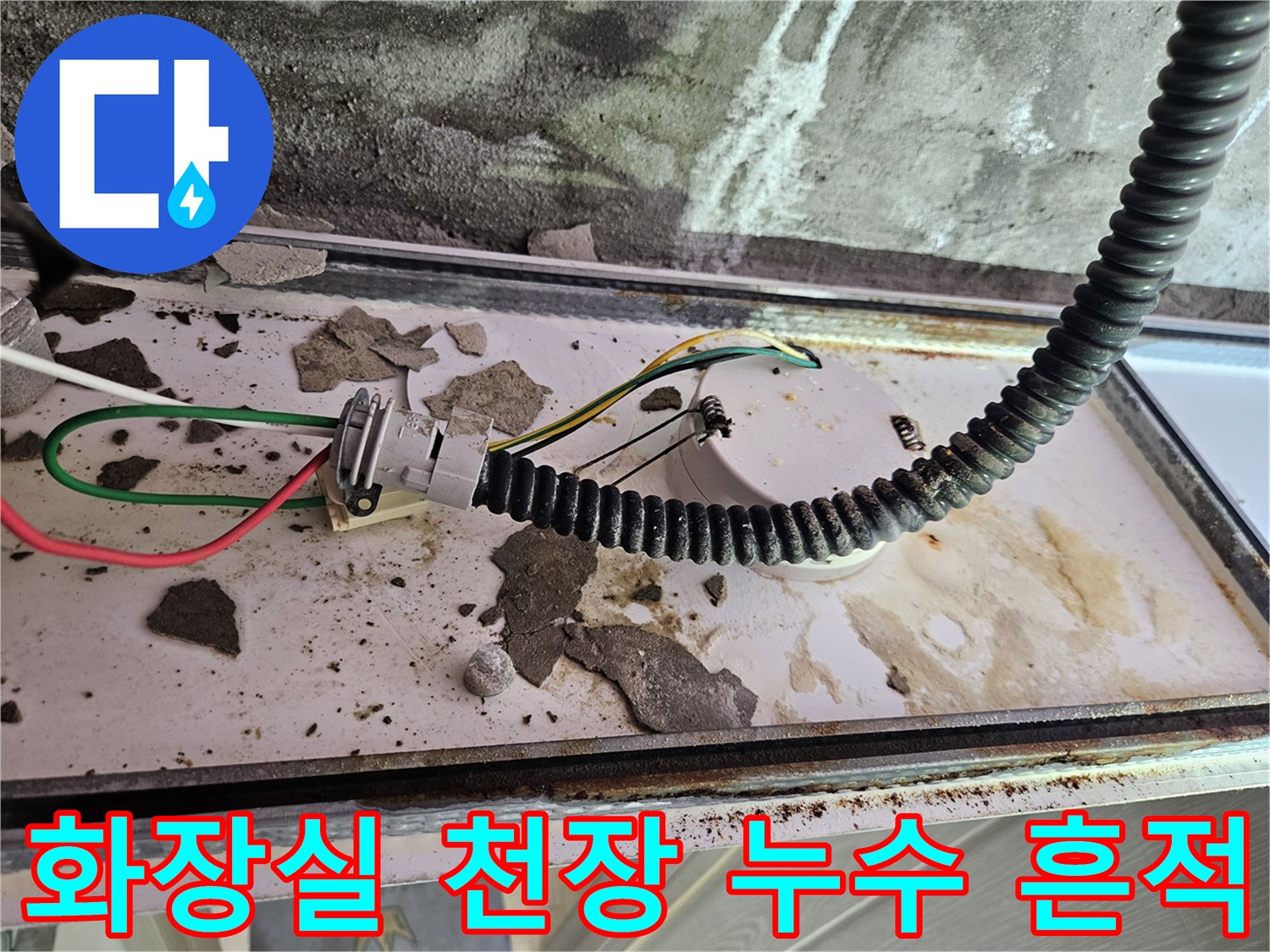 양주 옥정동-화장실 천장 내부의 습기와 오염된 배관 상태