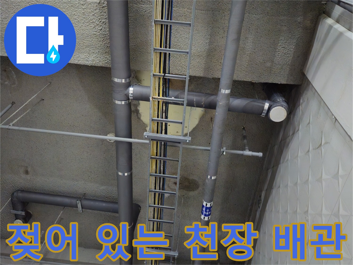 지하-주차장-천장-배관-주변-습기-및-누수-흔적