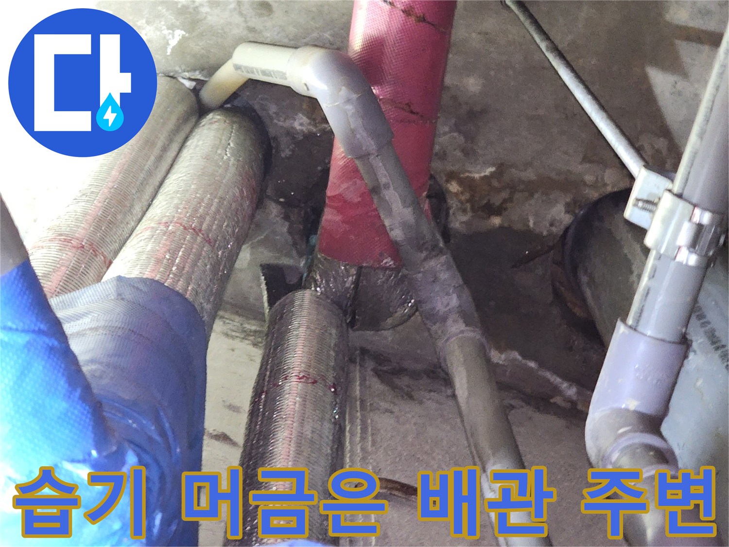 배관-주변-마감재-습기-및-물샘-현황
