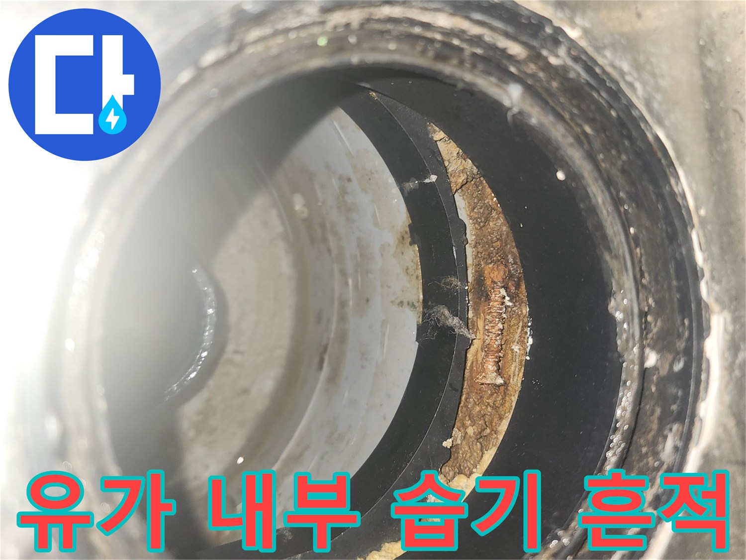 세탁실-배수구-유가-틈새-습기-침투-현장