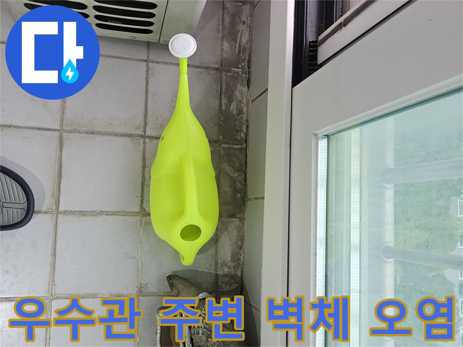 우수관 근처 타일 벽면의 곰팡이와 습기로 인한 변색