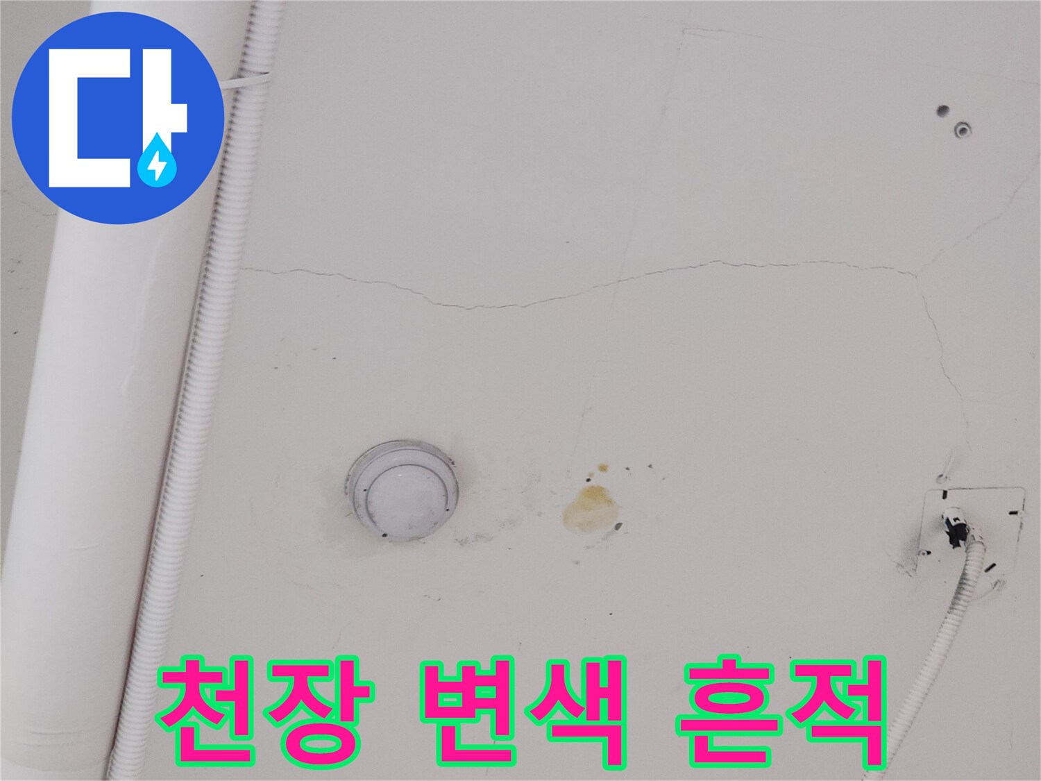덕양구-식당-천장-누수-변색-부위-사진