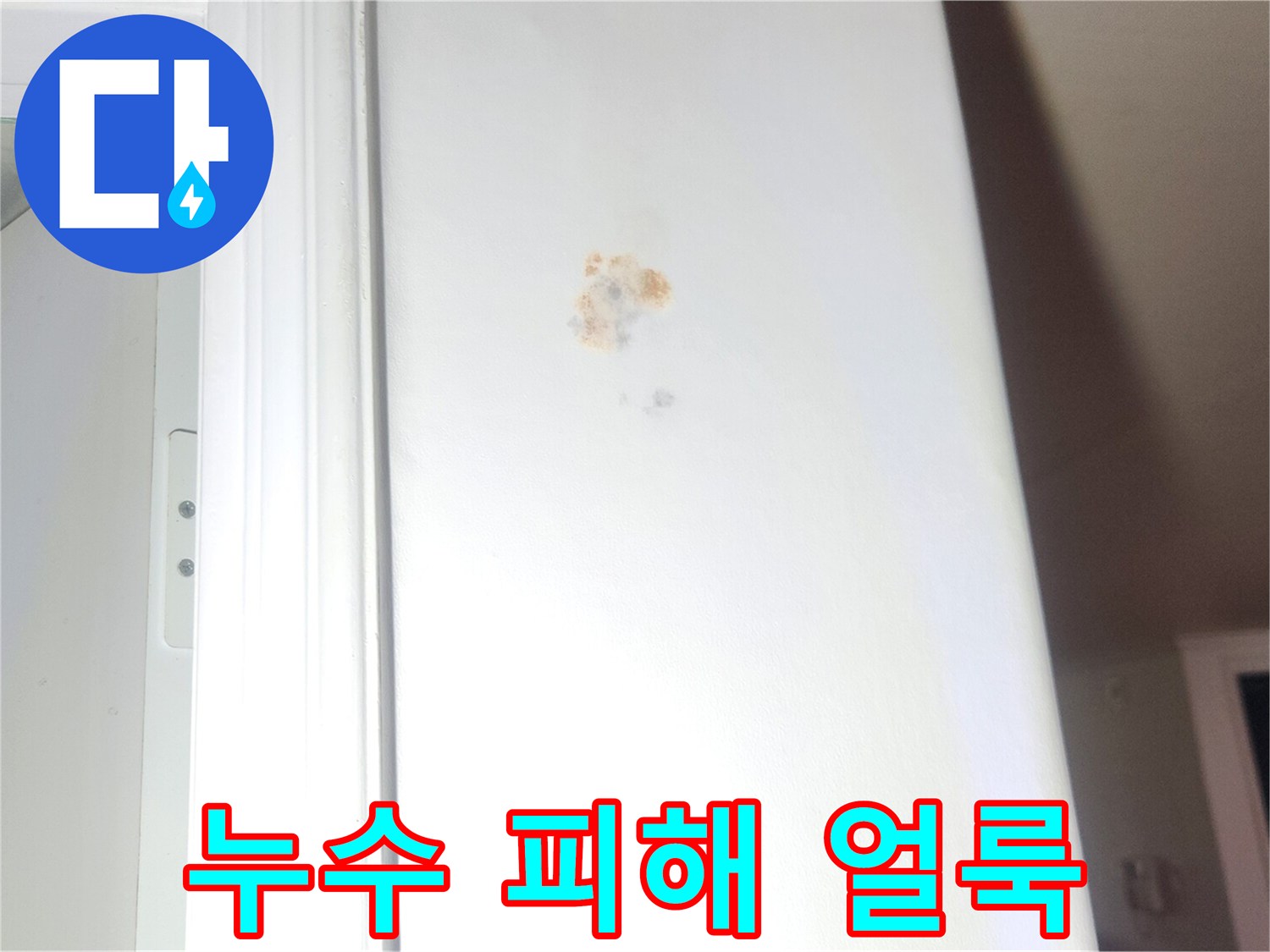 강동구-성내동-벽지-누수-오염-부위-촬영
