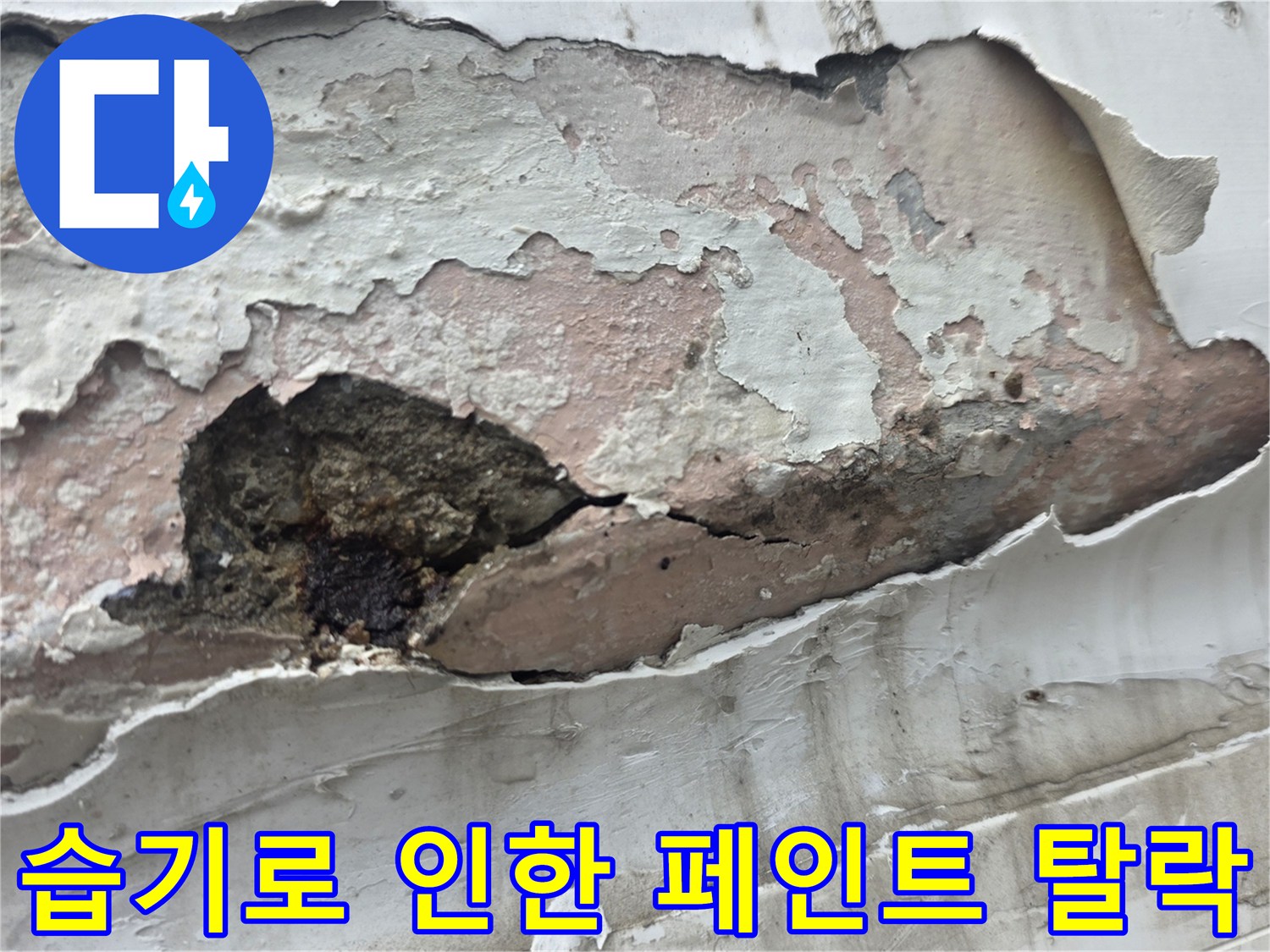 습기가 침투하여 부풀어 오른 벽면 마감재