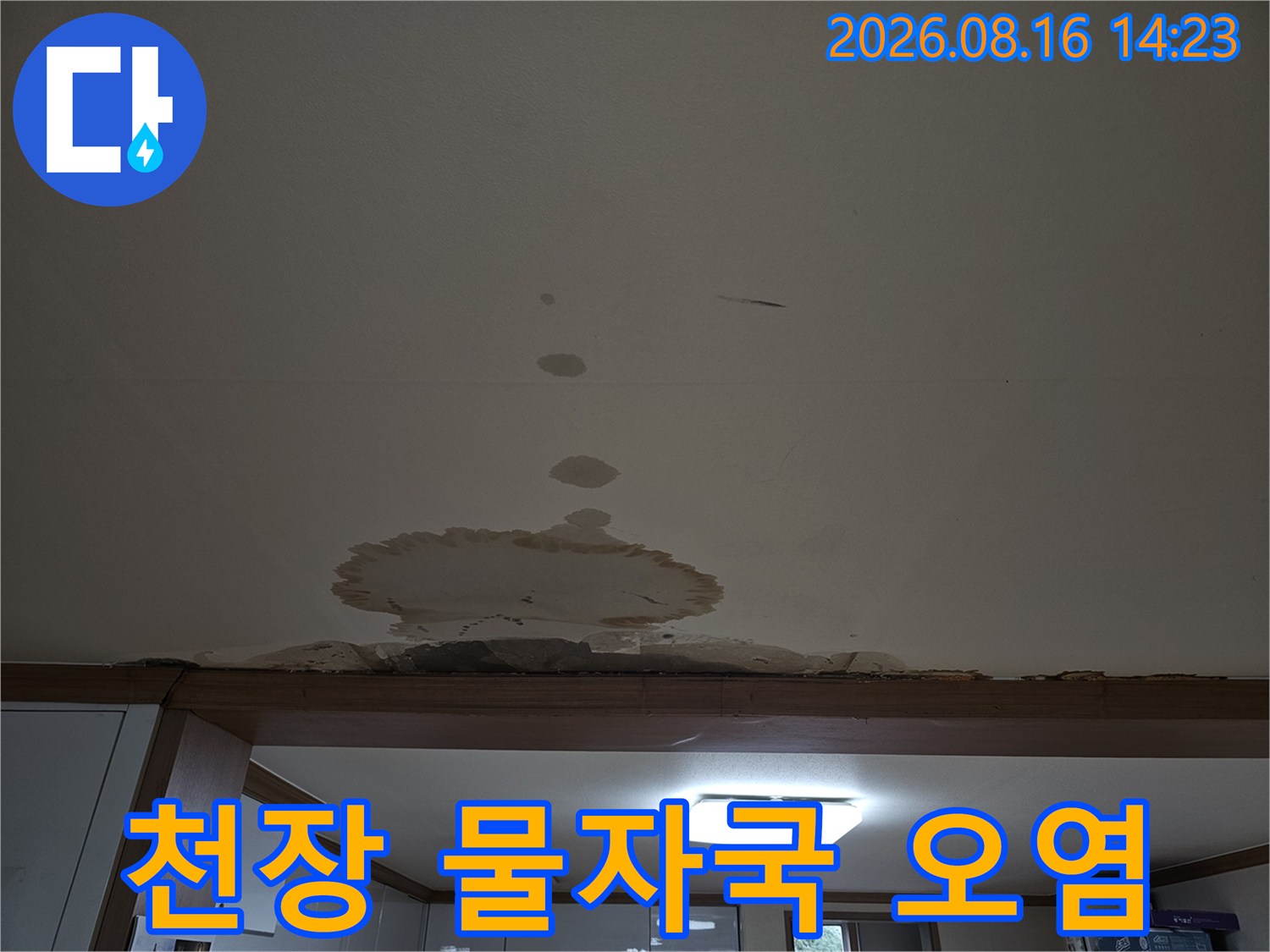 넓게 번진 천장 누수 얼룩과 습기로 인한 변색 부위