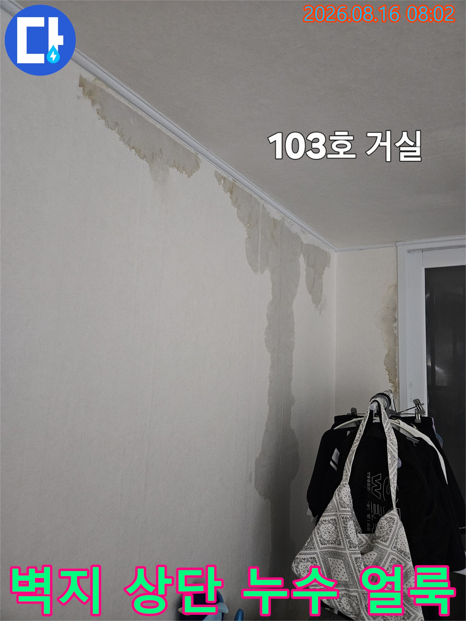 거실 벽지 상단 부근에 넓게 퍼진 갈색 누수 물자국 현상